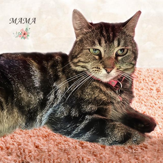 Mama Avo 5/24 bonded w/Tiny