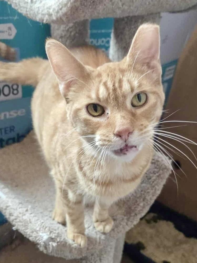 Sommer — thumbnail 2