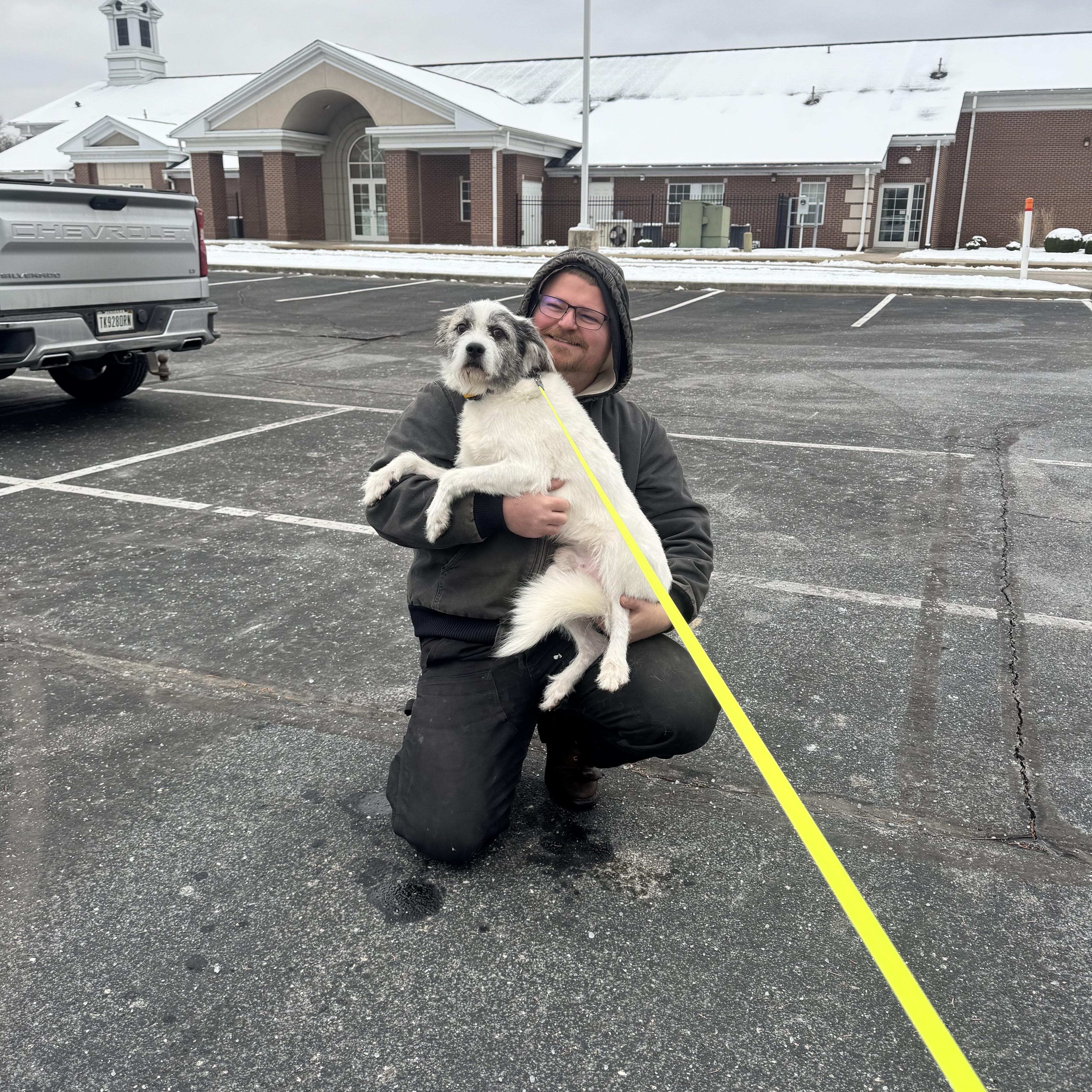 Enlarge Pascal, a ADOPTABLE mixed breed in Indianapolis, IN image 2/3