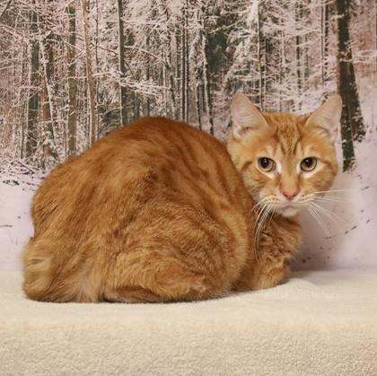 Timmy — thumbnail 3