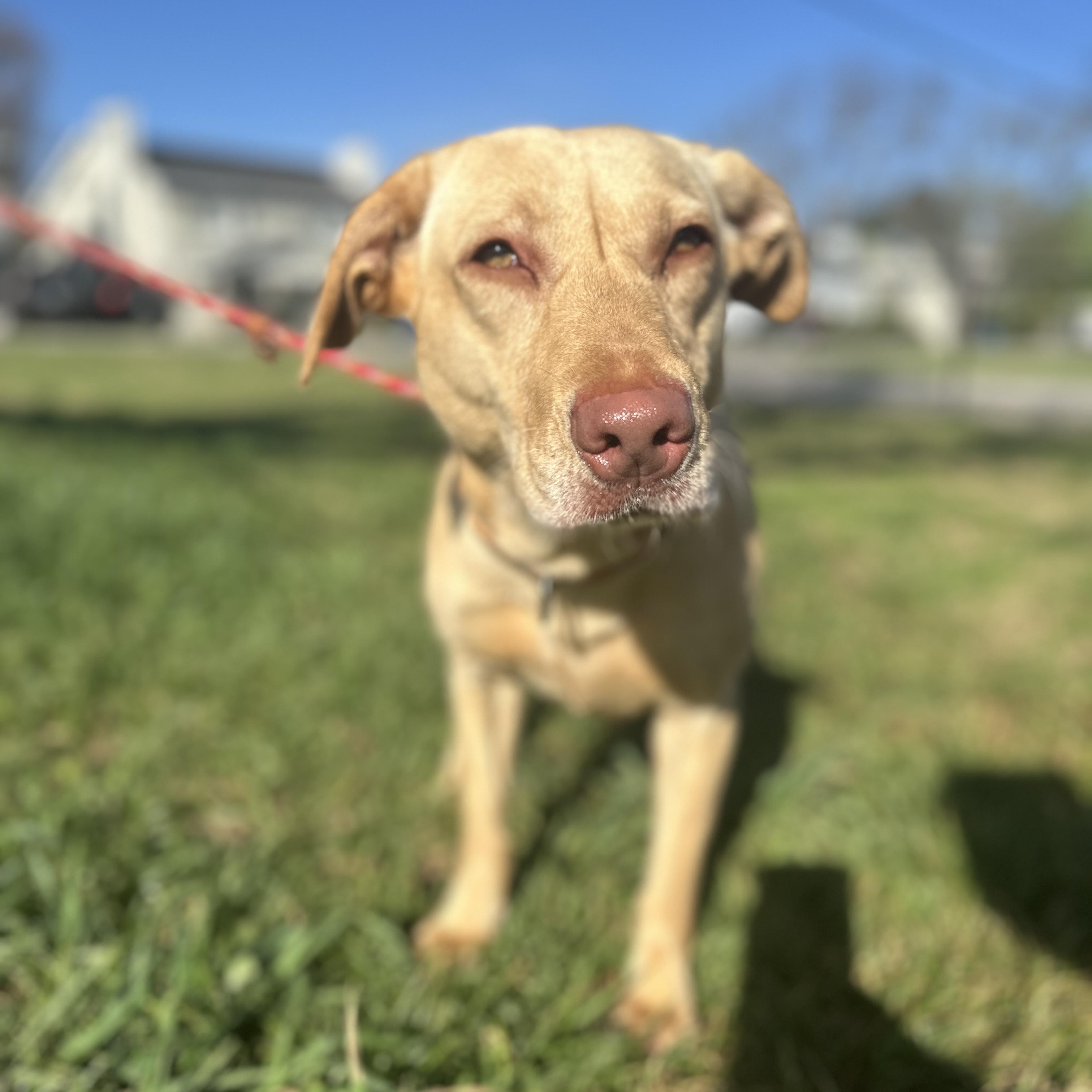 Clarkson — thumbnail 2