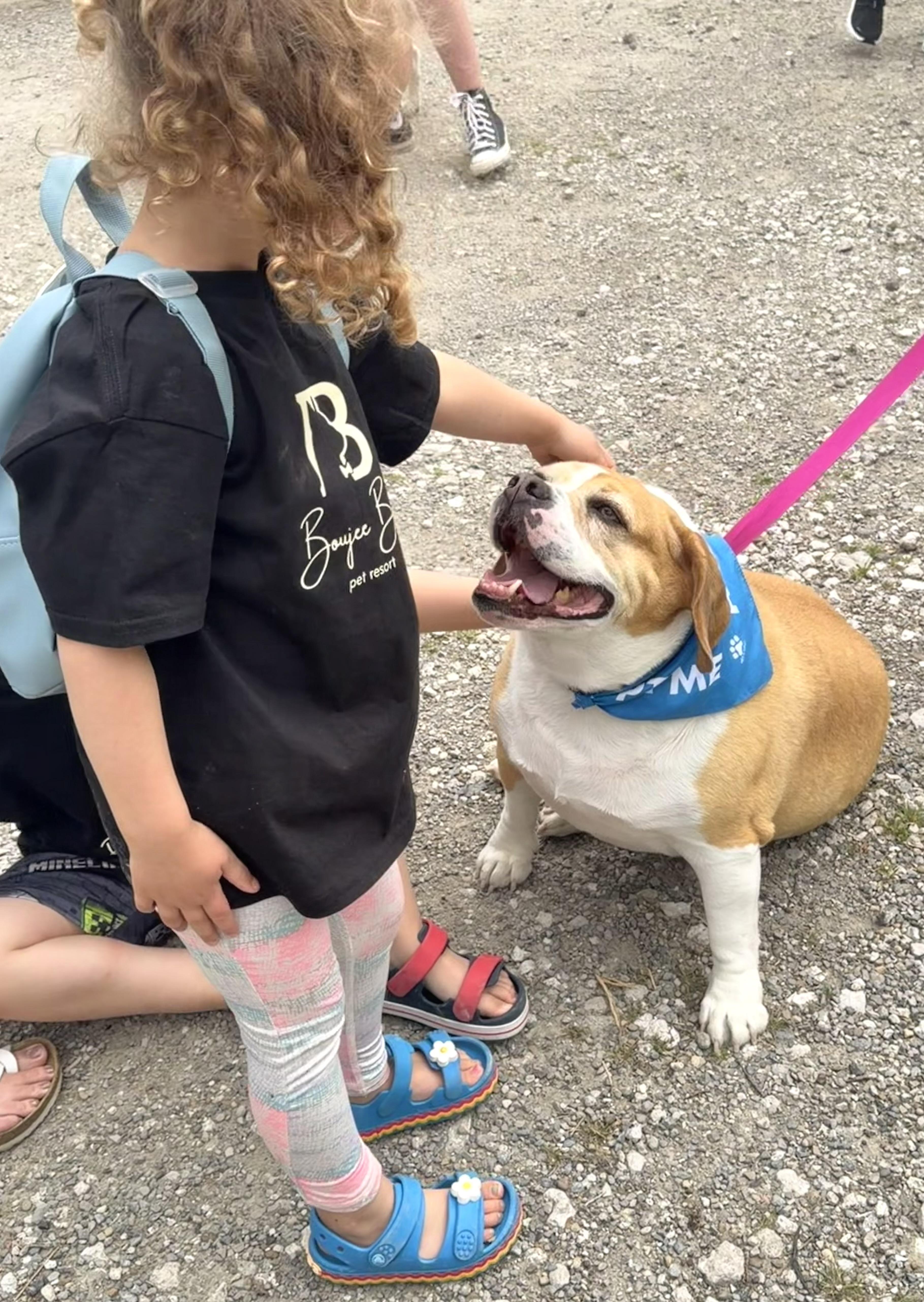 Marley, a ADOPTABLE mixed breed in Clinton, PA image 4/6