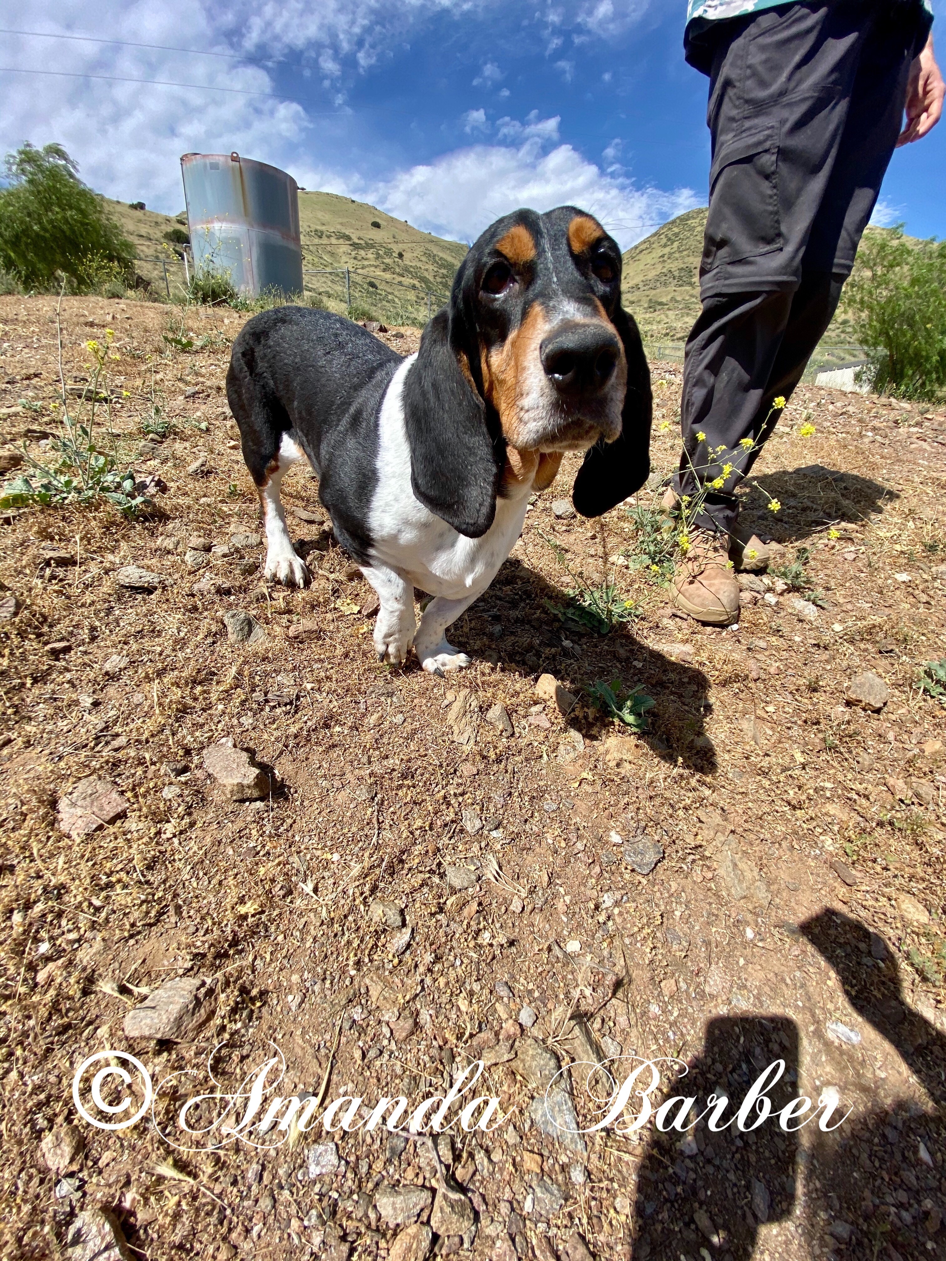 Jake photo 5