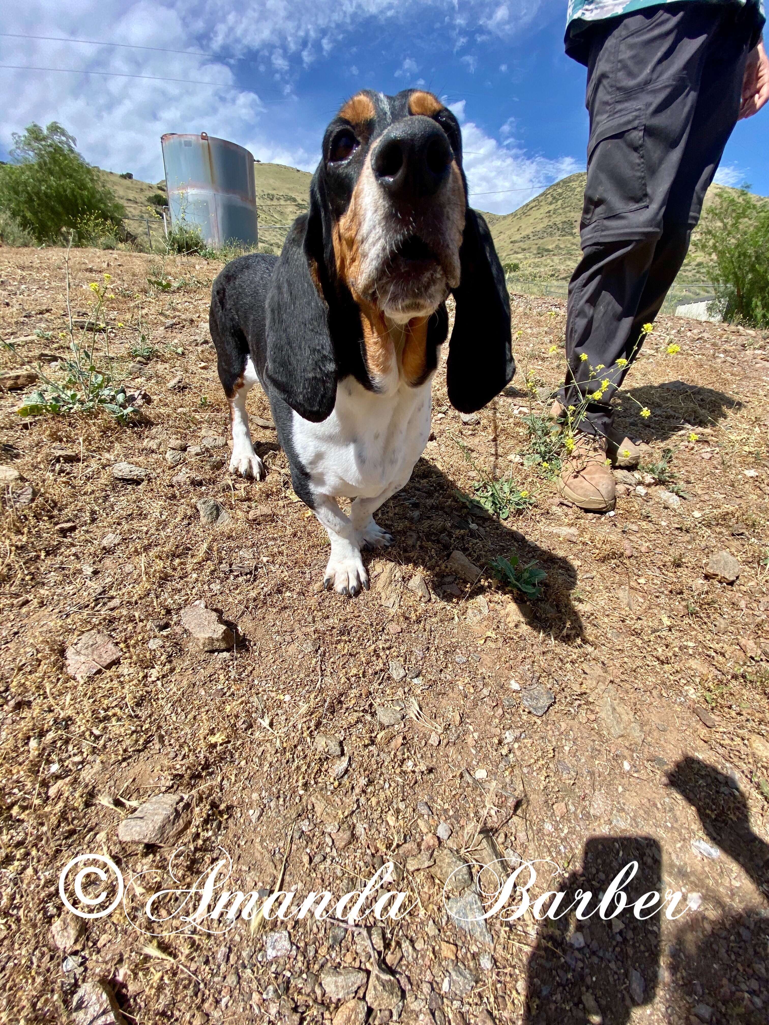 Jake photo 6