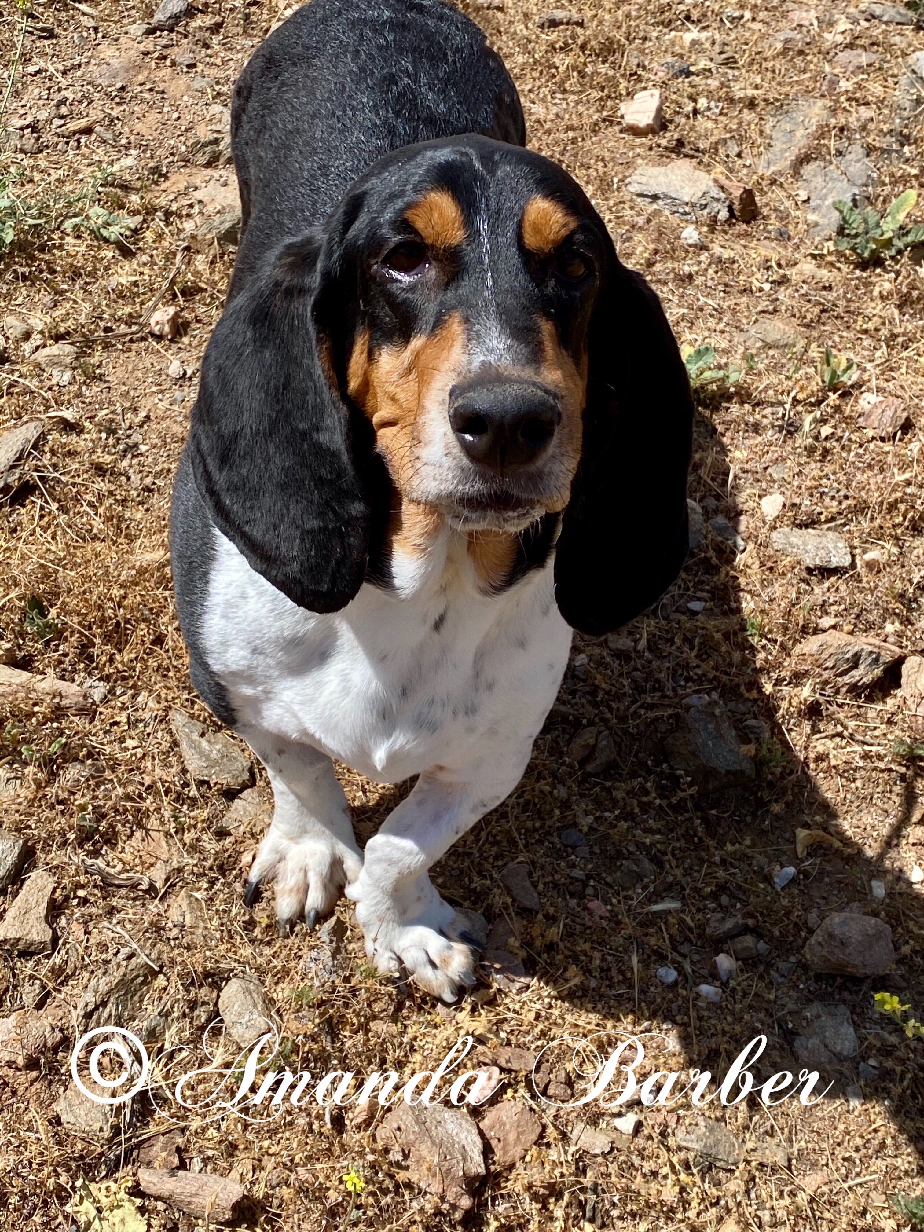 Jake photo 3