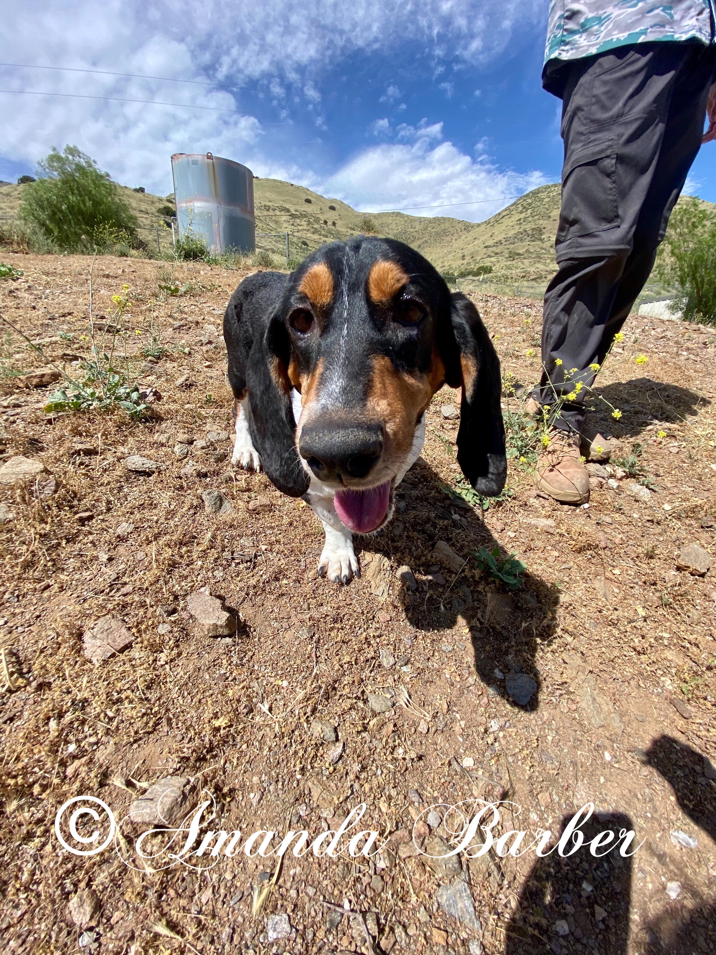 Jake photo 1
