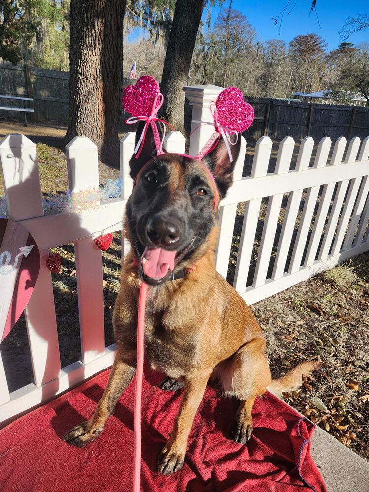 Moon - located in Florida