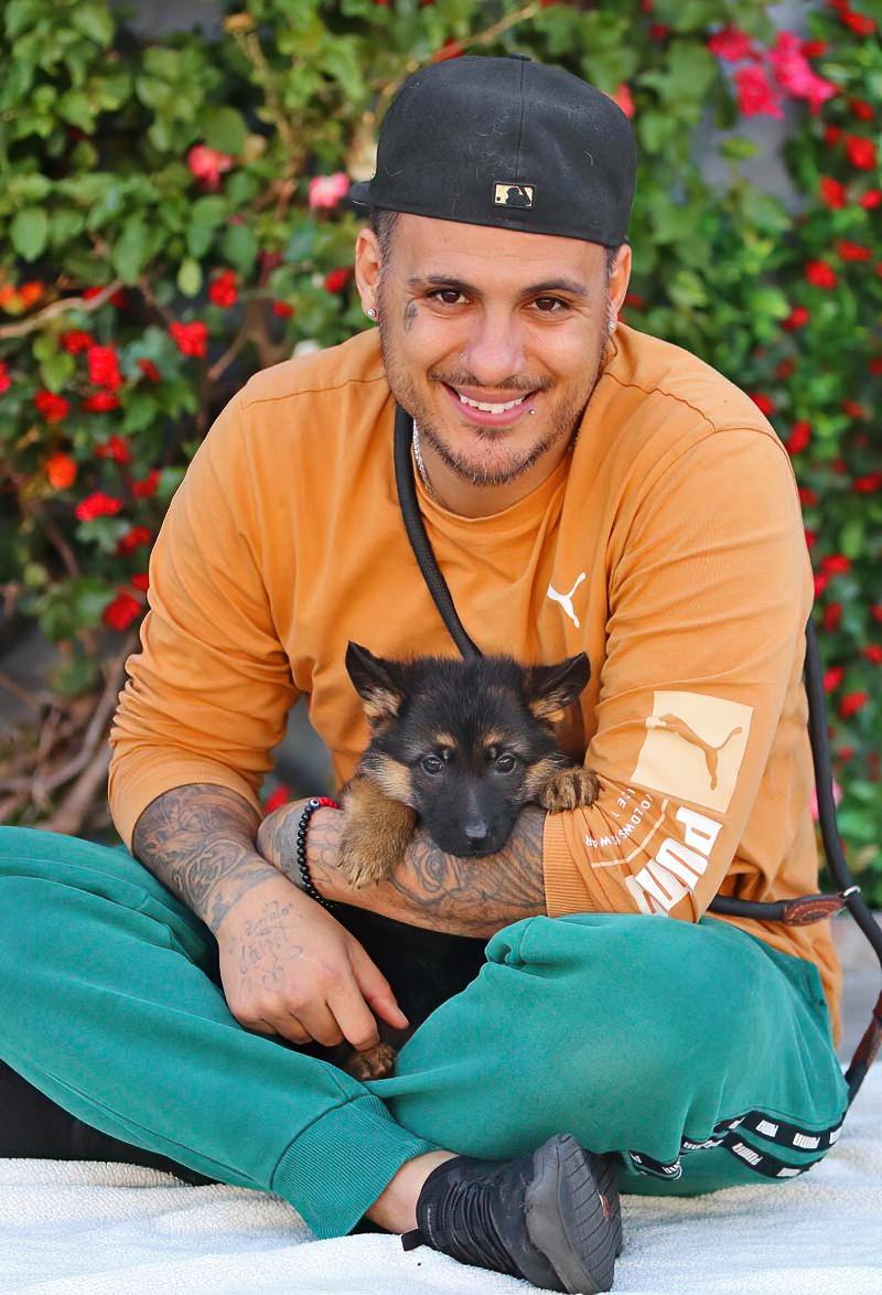 *Gypsy von Brockel , an adopted mixed breed in Los Angeles, CA image 2/3