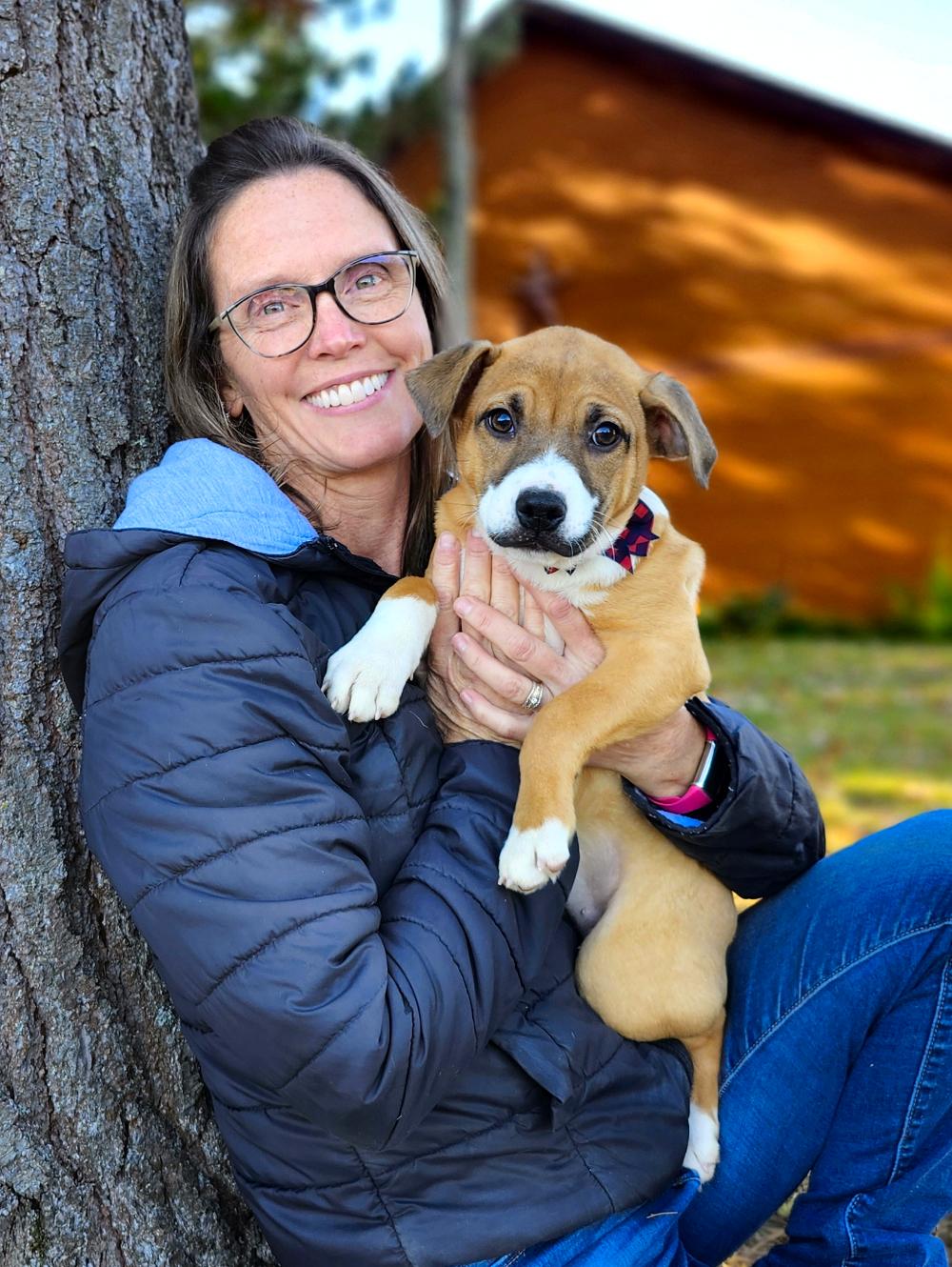 Andie, an adoptable Mixed Breed in Cheboygan, MI, 49721 | Photo Image 1
