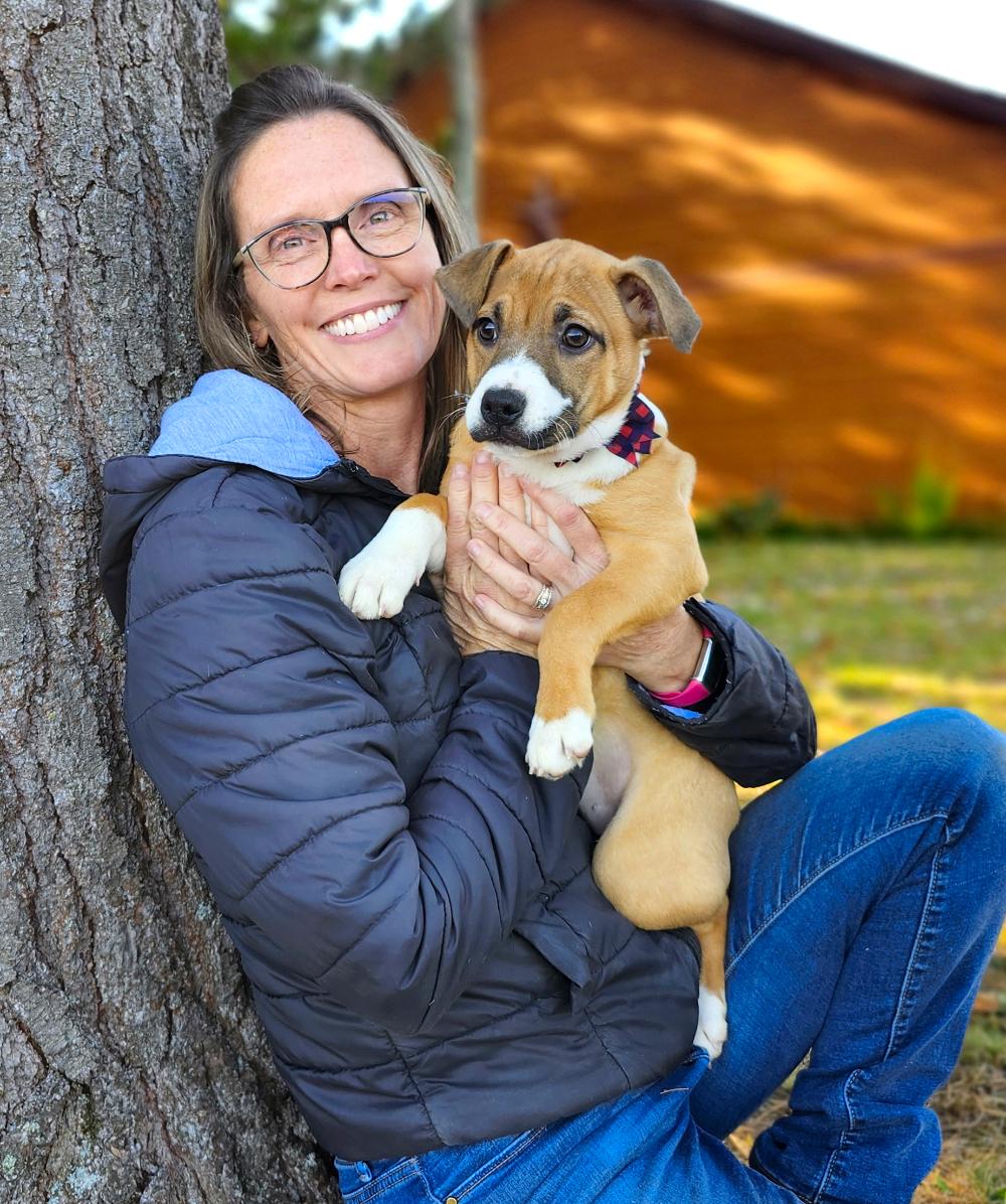 Andie, an adoptable Mixed Breed in Cheboygan, MI, 49721 | Photo Image 2