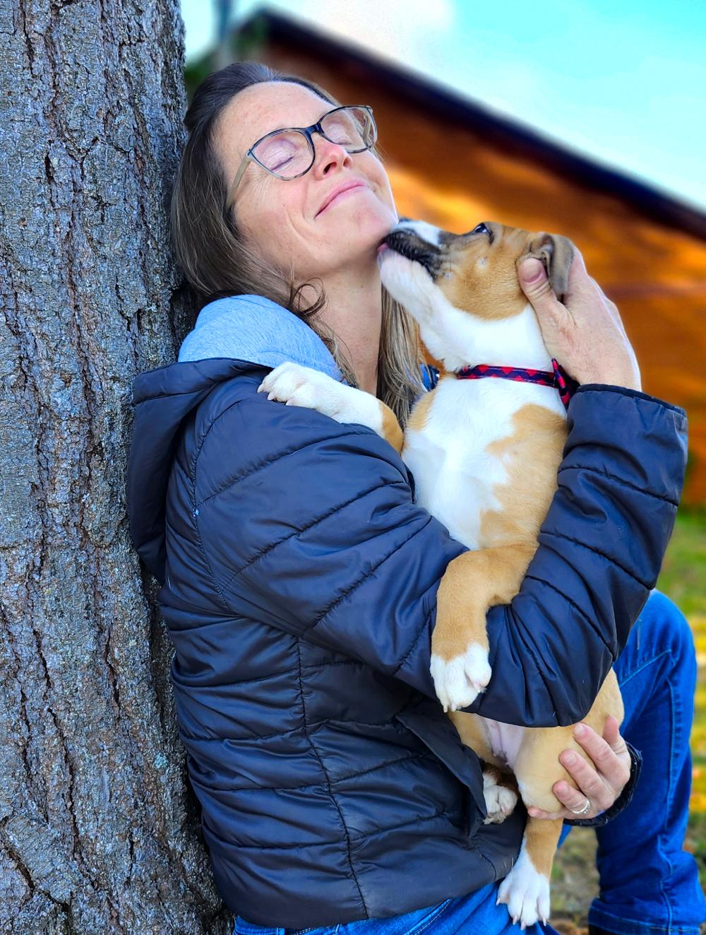 Andie, an adoptable Mixed Breed in Cheboygan, MI, 49721 | Photo Image 4