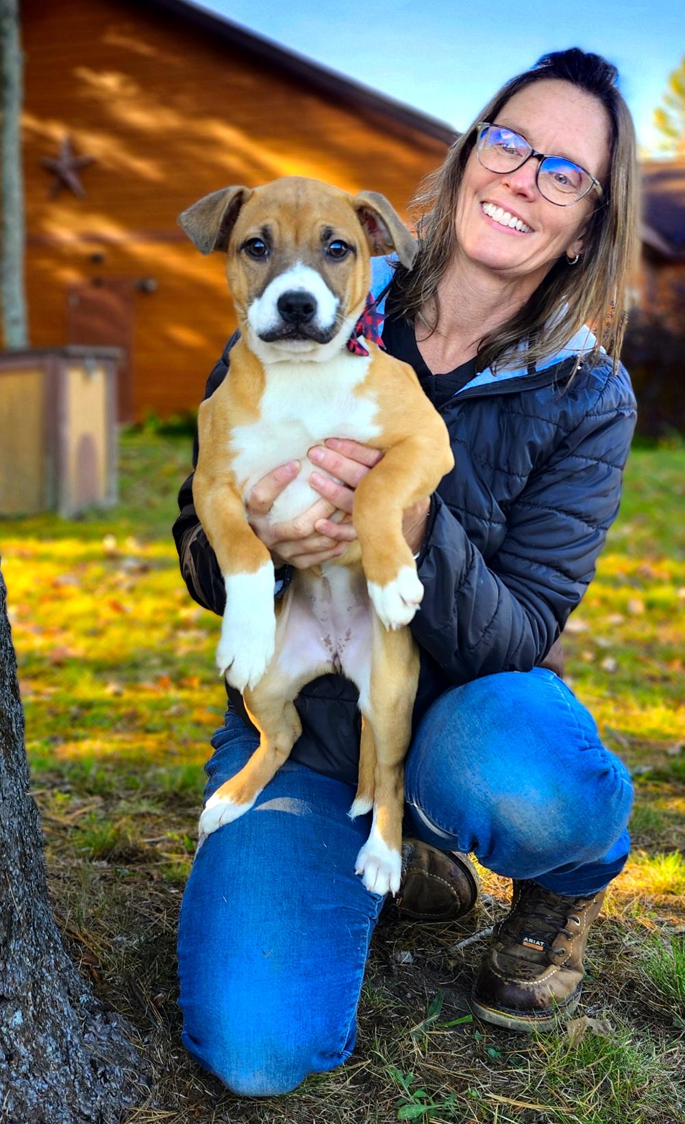 Andie, an adoptable Mixed Breed in Cheboygan, MI, 49721 | Photo Image 5