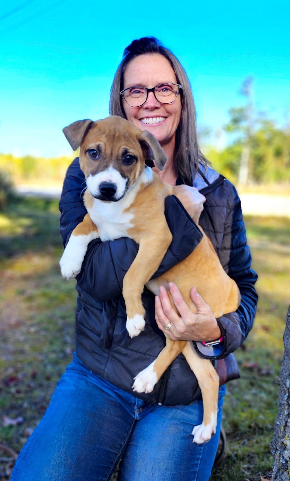 Andie, an adoptable Mixed Breed in Cheboygan, MI, 49721 | Photo Image 6