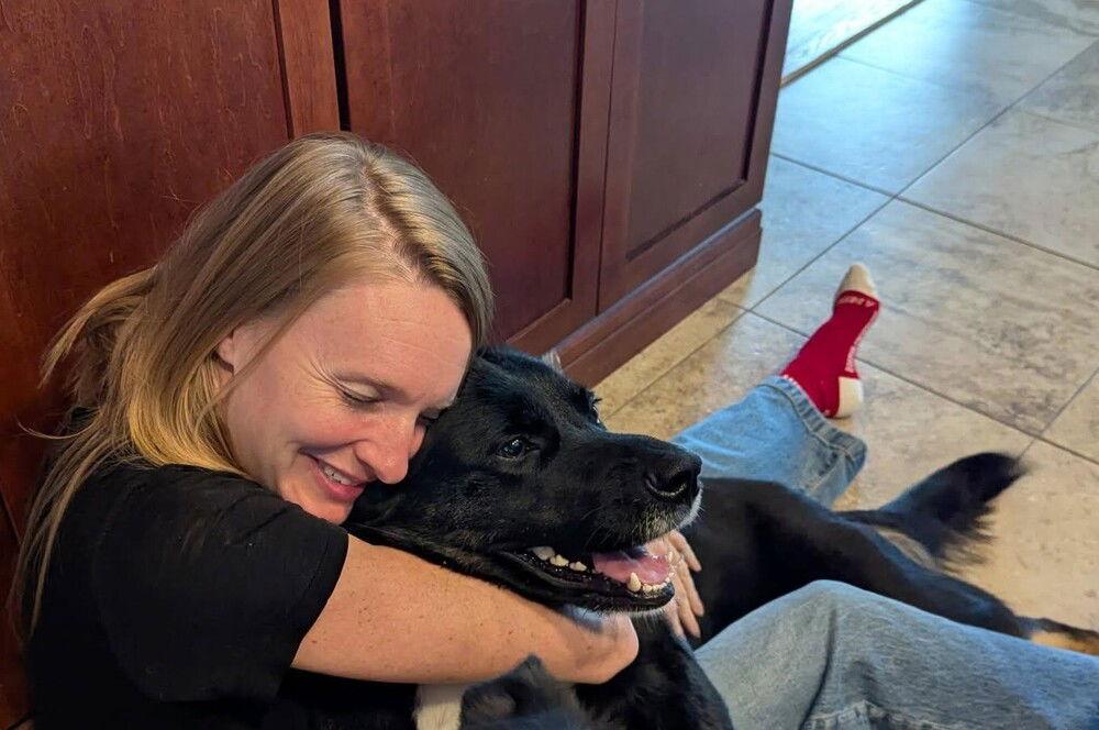 Pelusa, a Adoptable mixed breed in Caldwell, NJ image 1/3