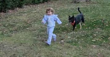 Pelusa, a Adoptable mixed breed in Caldwell, NJ image 2/3