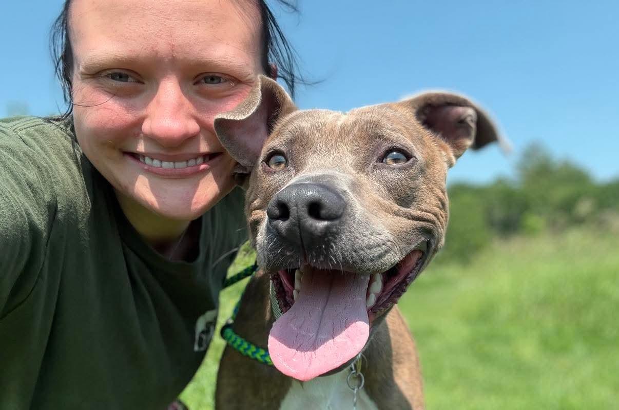 Kaiser, an adoptable Mixed Breed in Lewiston, ME, 04240 | Photo Image 1
