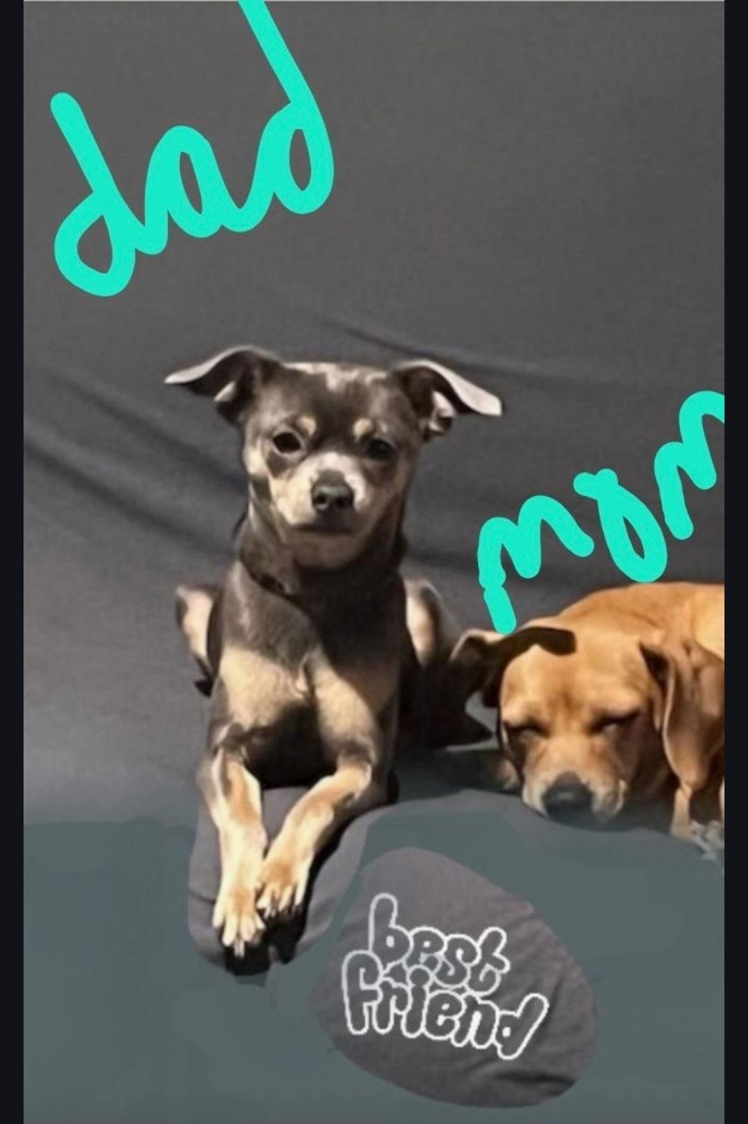 Bolt Brighton — thumbnail 2