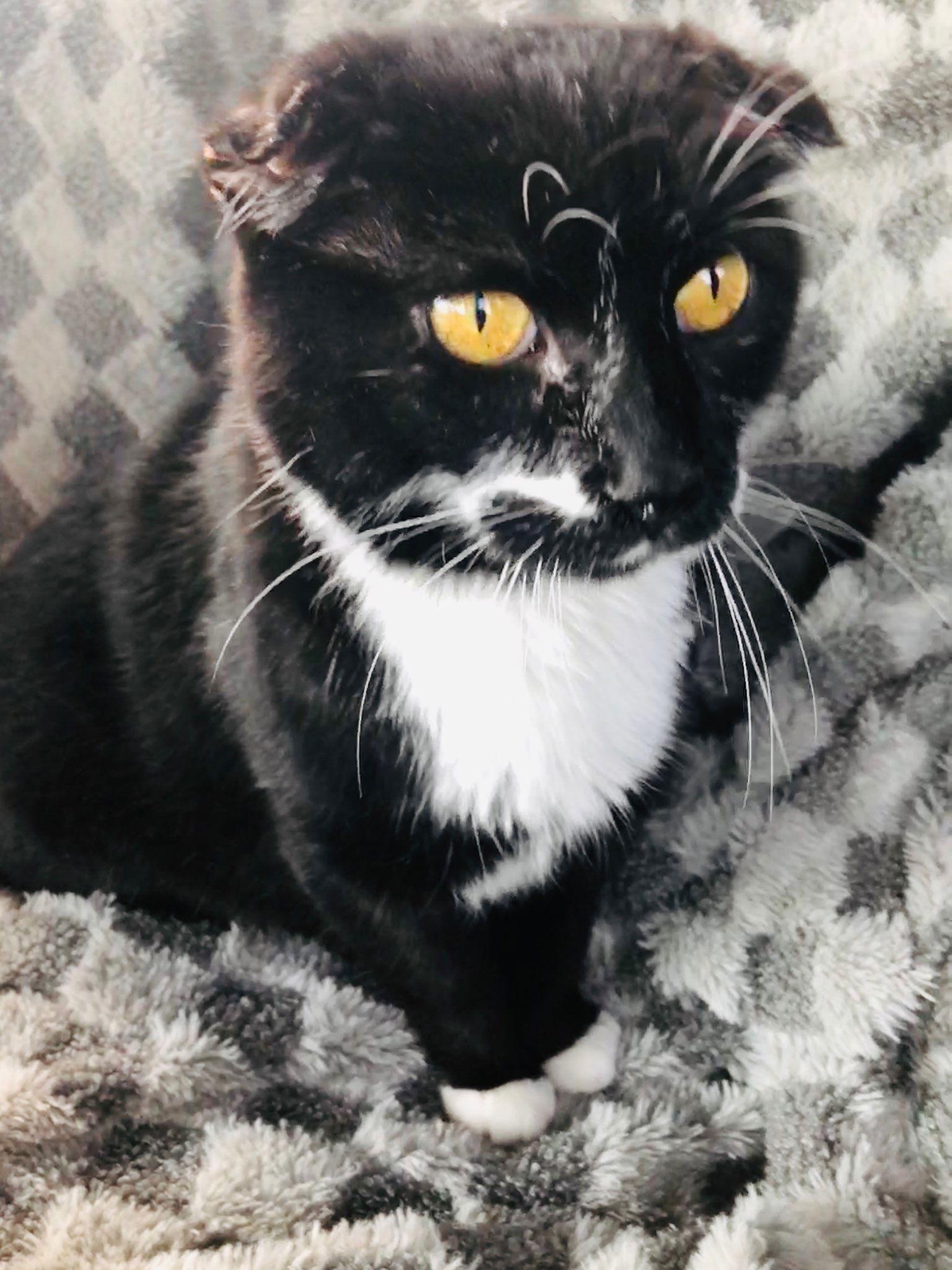 Janet — thumbnail 2