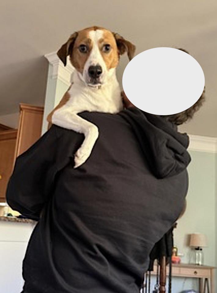 Gracie Mae — thumbnail 3