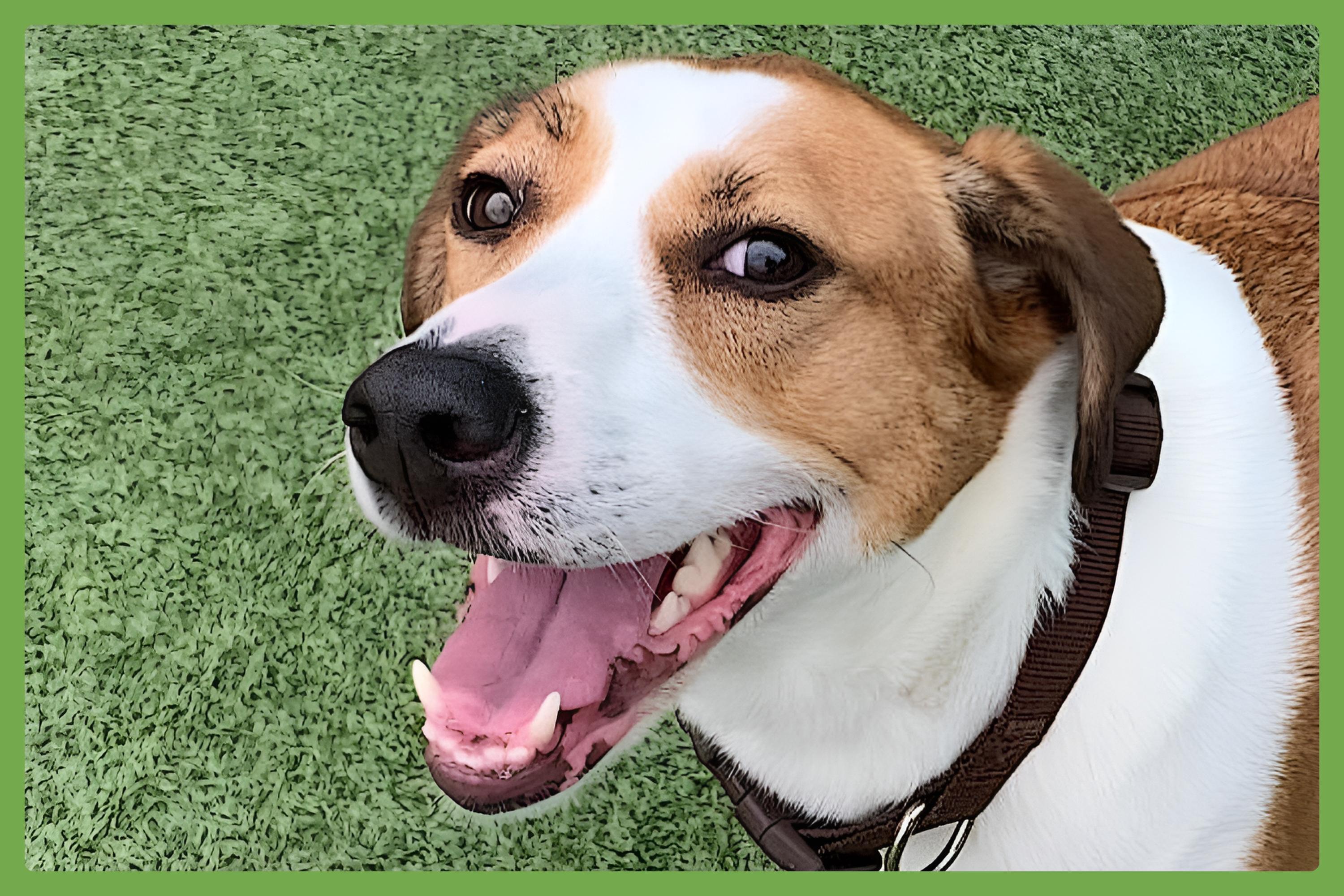 Gracie Mae — thumbnail 5