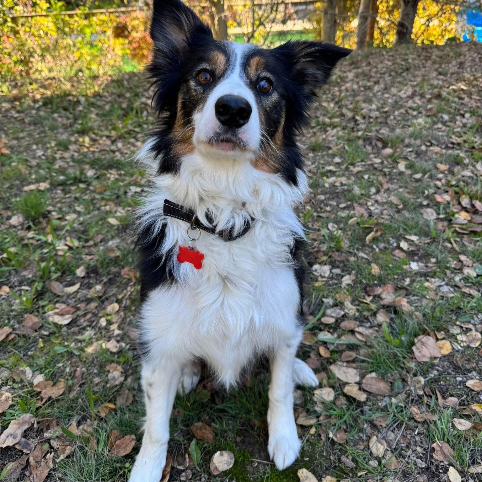 Ranger photo 2