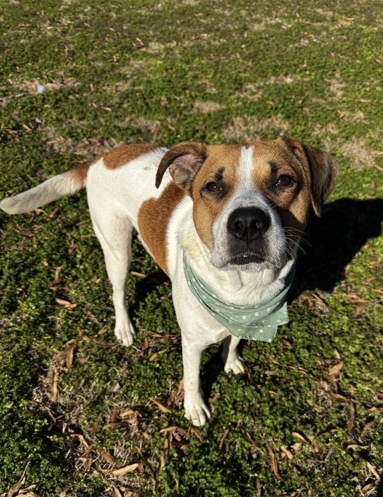 Charles — thumbnail 2