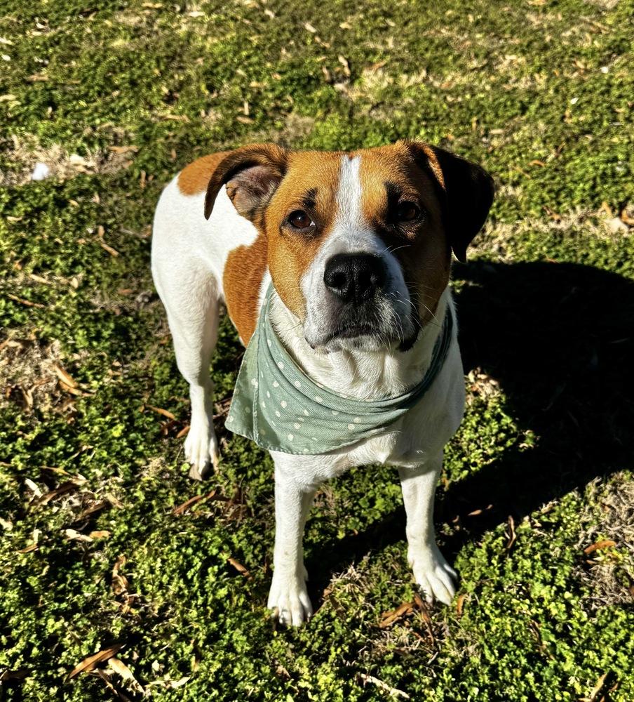 Charles — thumbnail 3