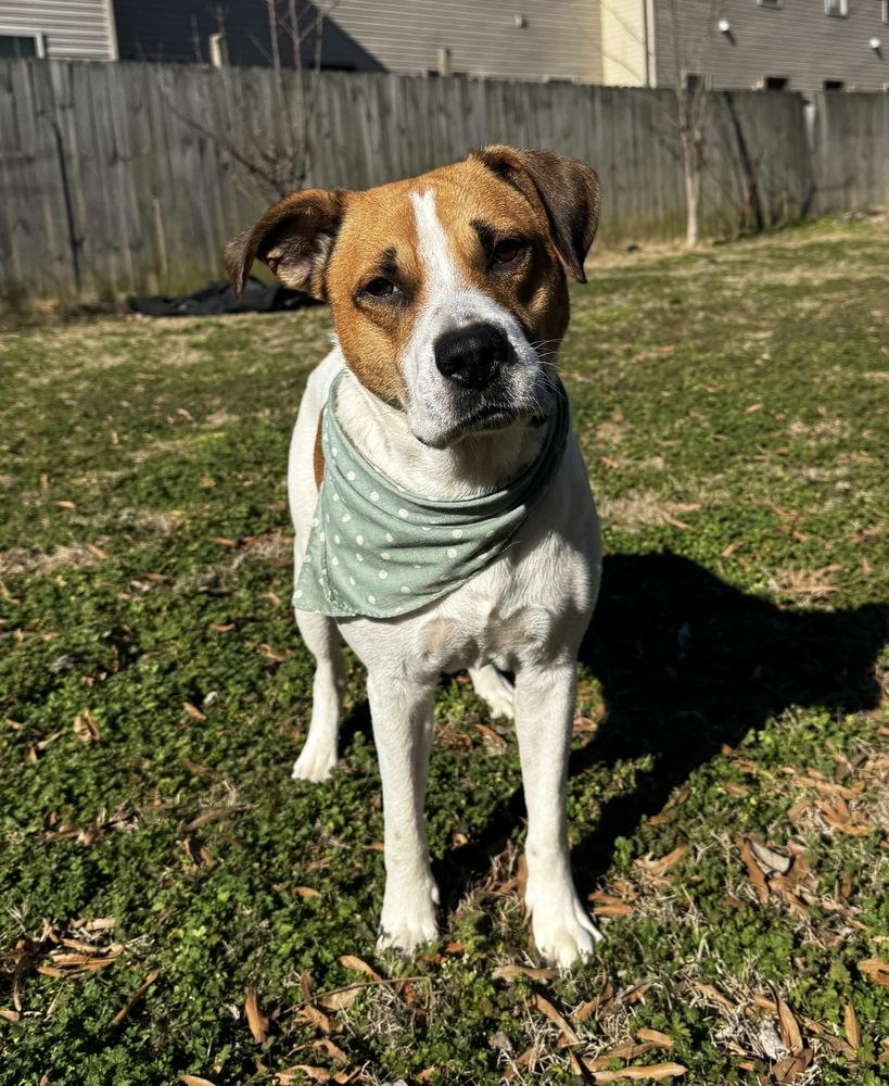 Charles — thumbnail 4