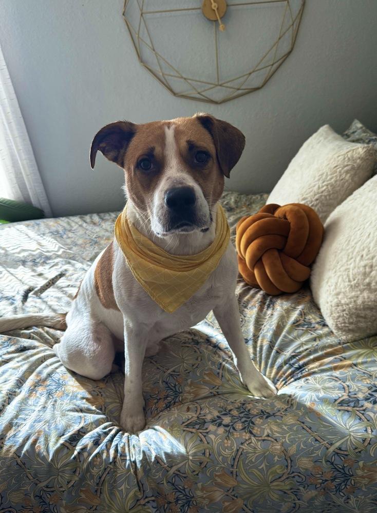 Charles — thumbnail 5