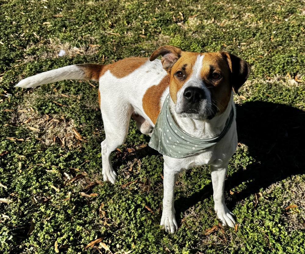 Charles — thumbnail 6