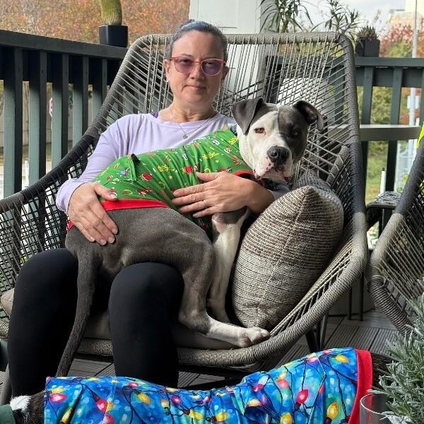 Levi the Big Softie — thumbnail 4