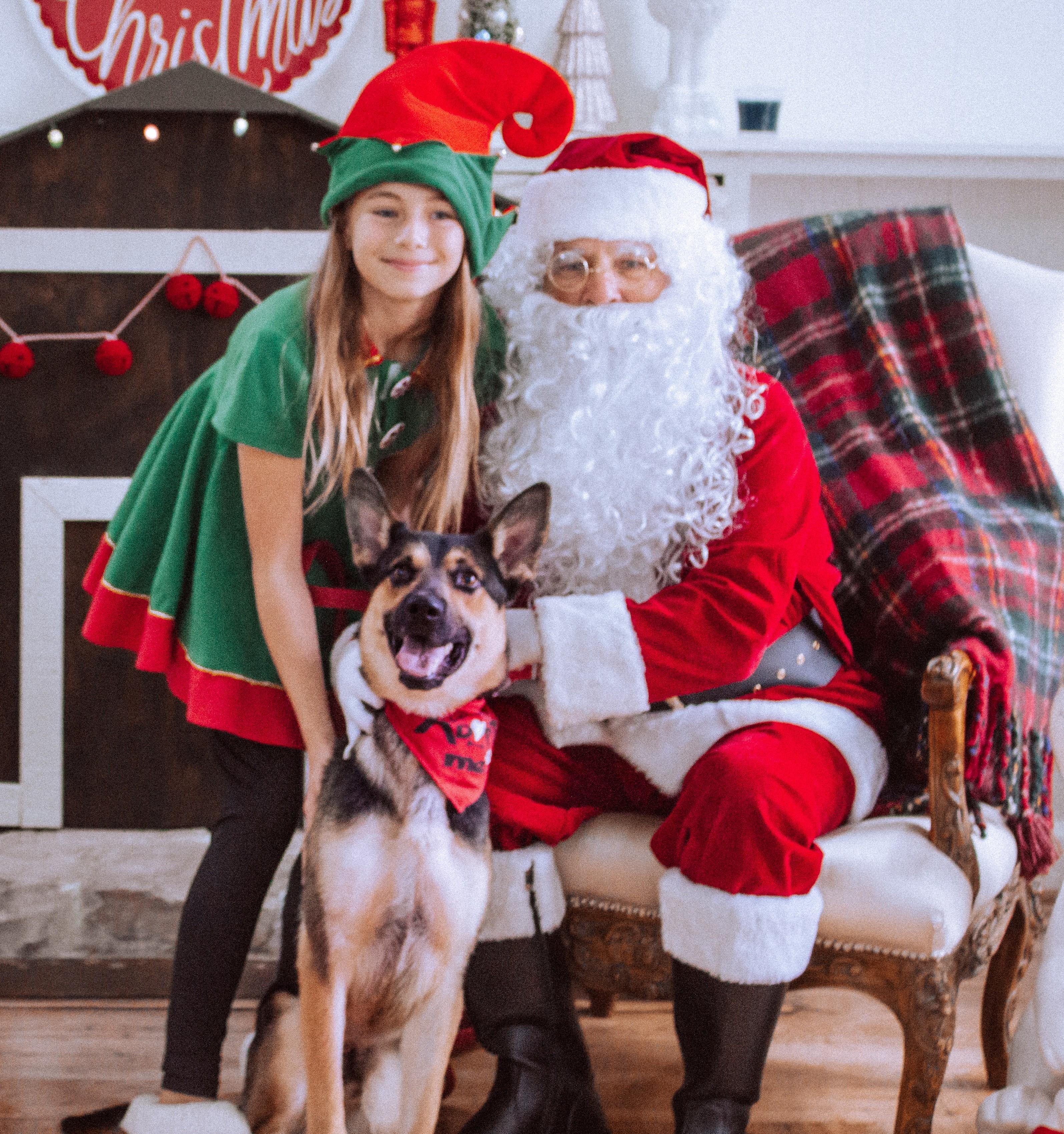 Enlarge Vinny, a Adoptable mixed breed in Manteca, CA image 2/2