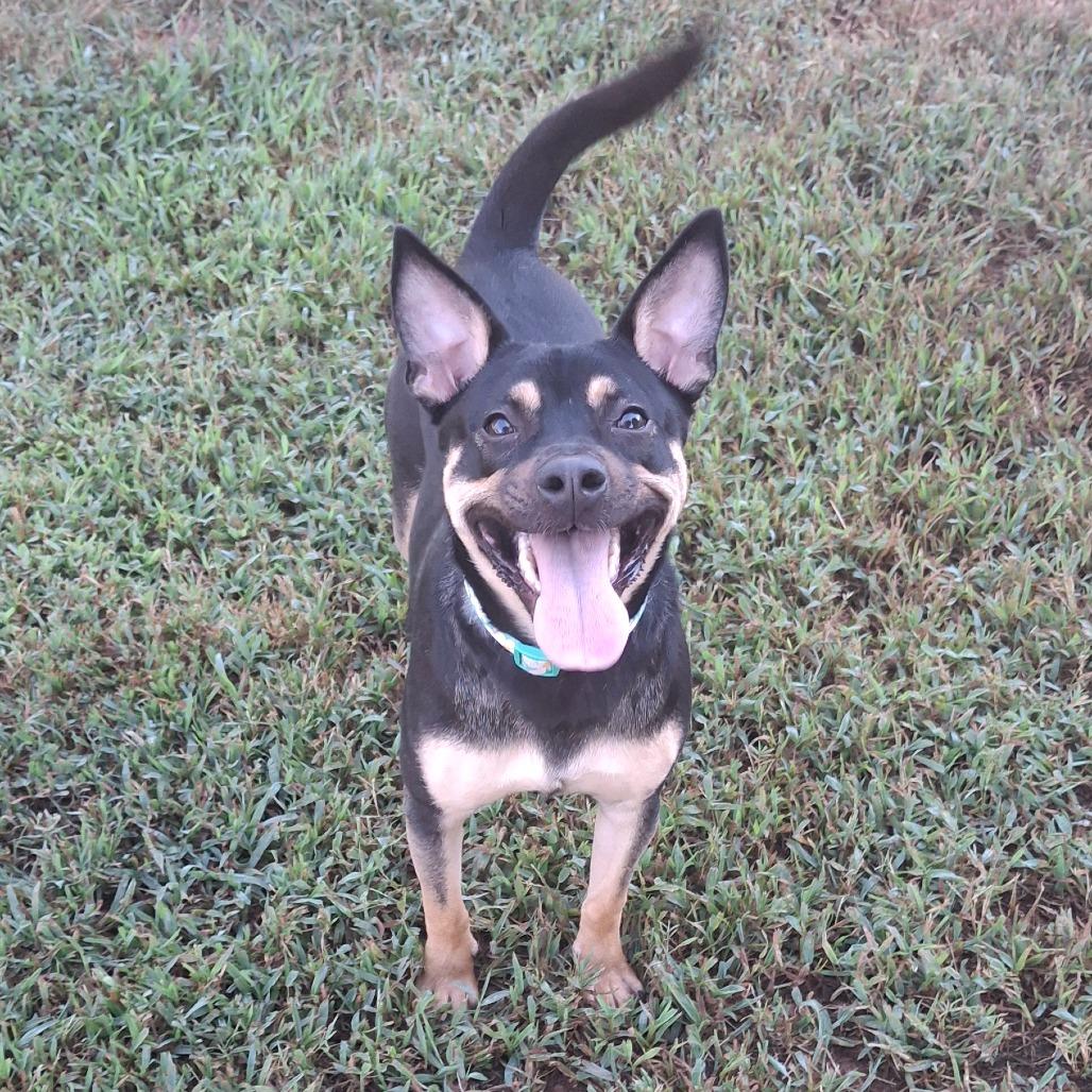 Junebug photo