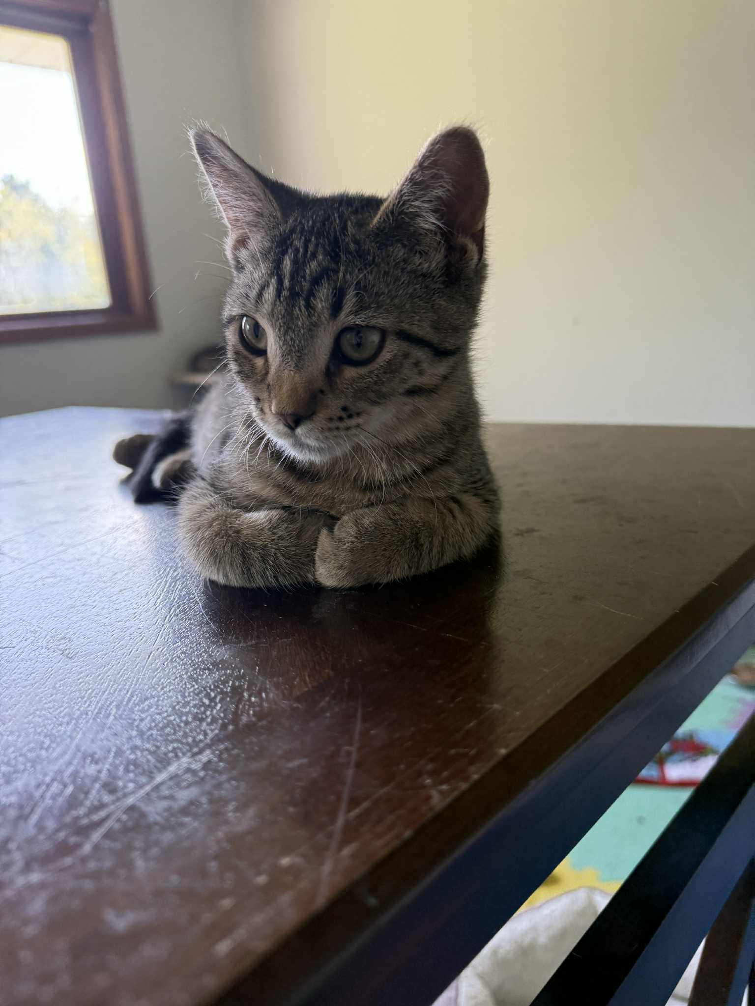 Swizzle — thumbnail 2