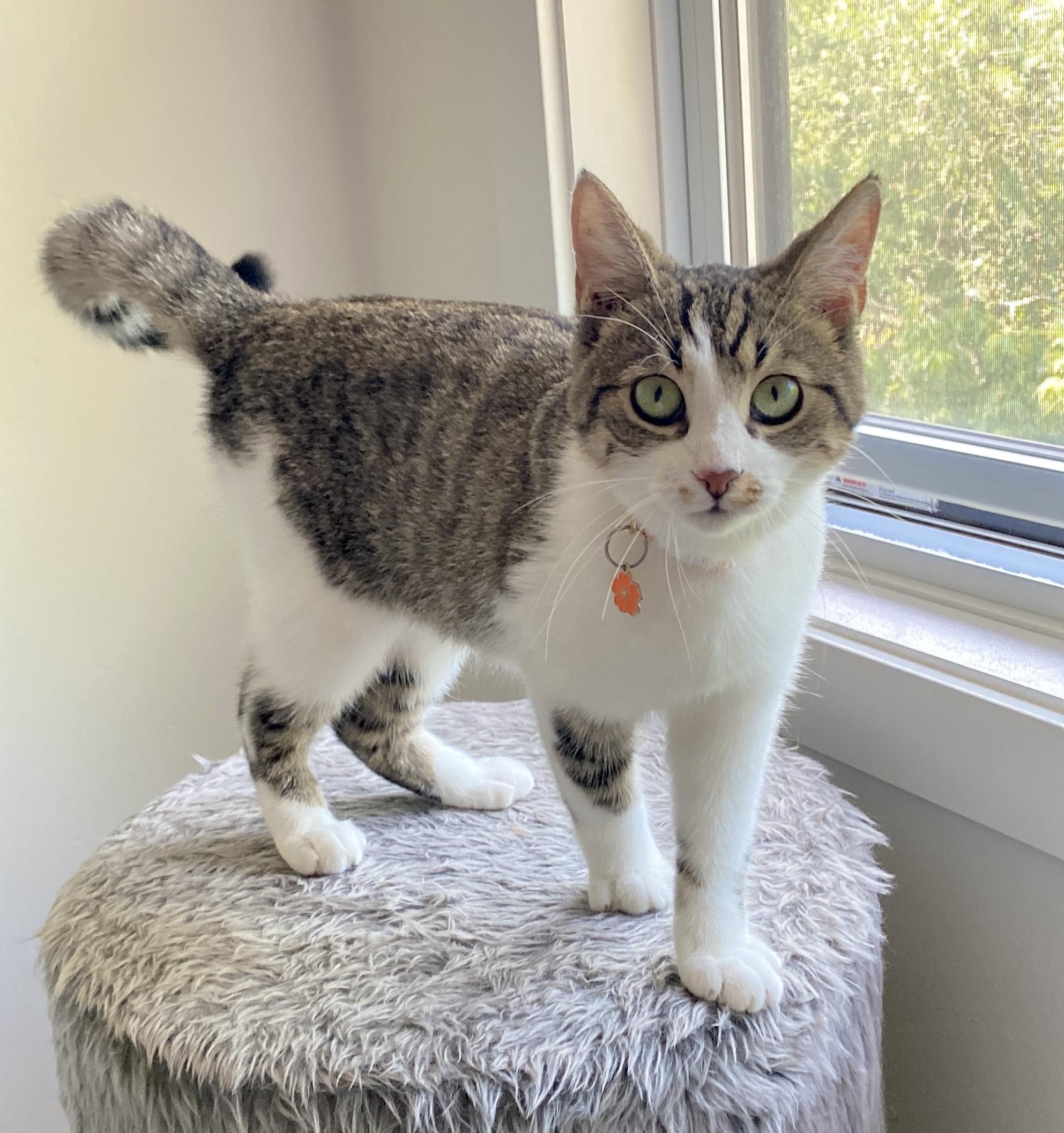 MIA