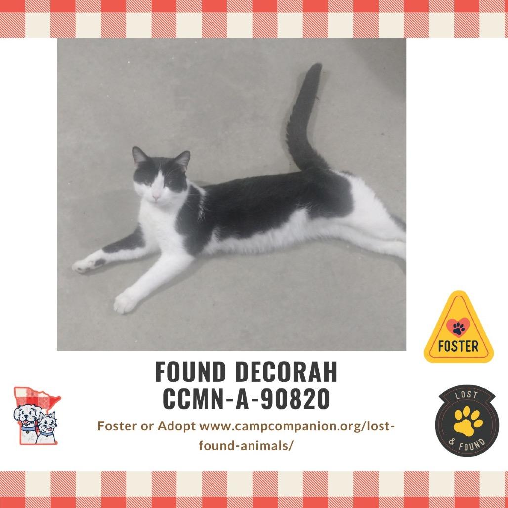 Oreo — thumbnail 5