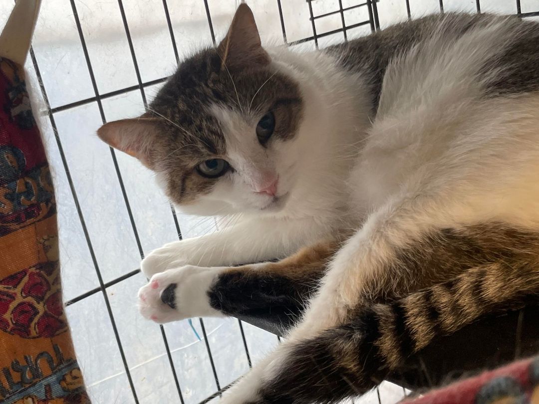 Deangelo & Dorian Bonded thumbnail 4