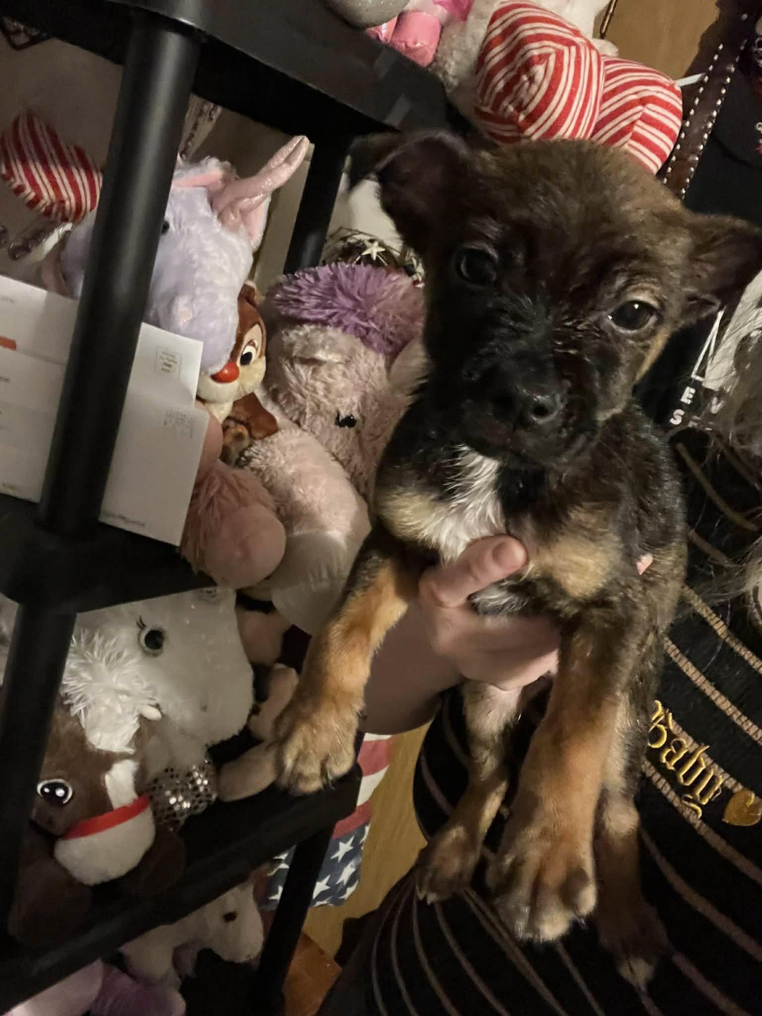 Wilder (20260226-08) — thumbnail 3