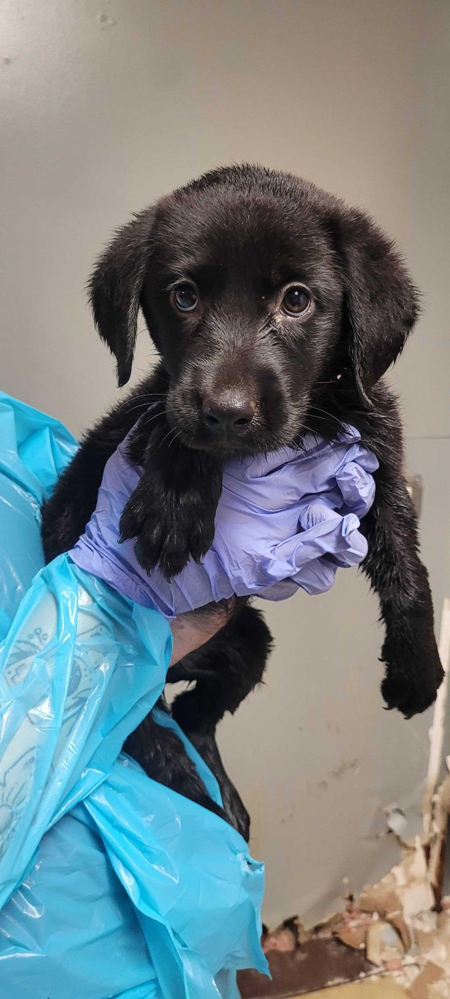 Sam-Not Accepting Applications Yet!