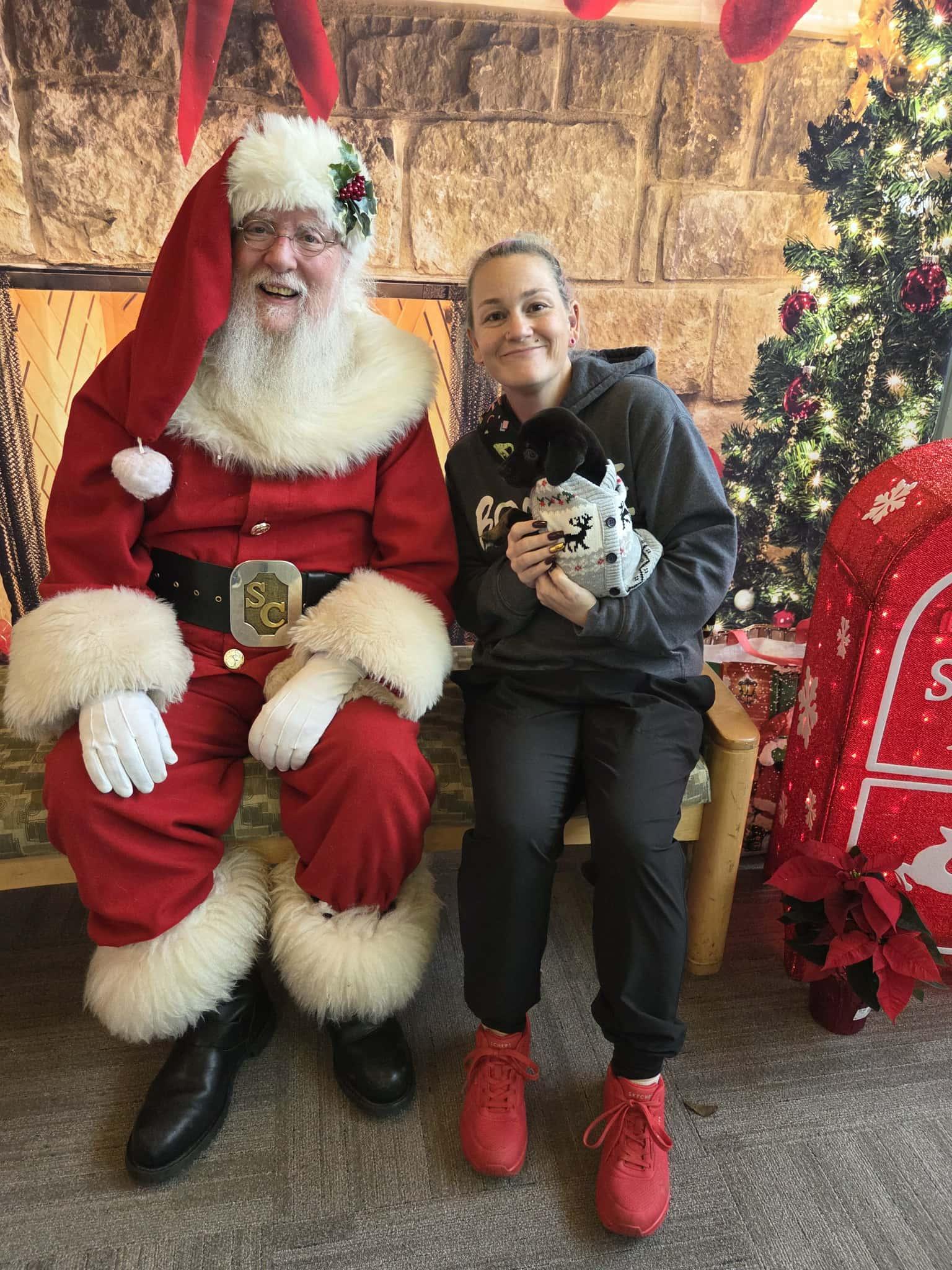 Enlarge Moritz The Dreamer , a Adoptable mixed breed in Lacey, WA image 4/5