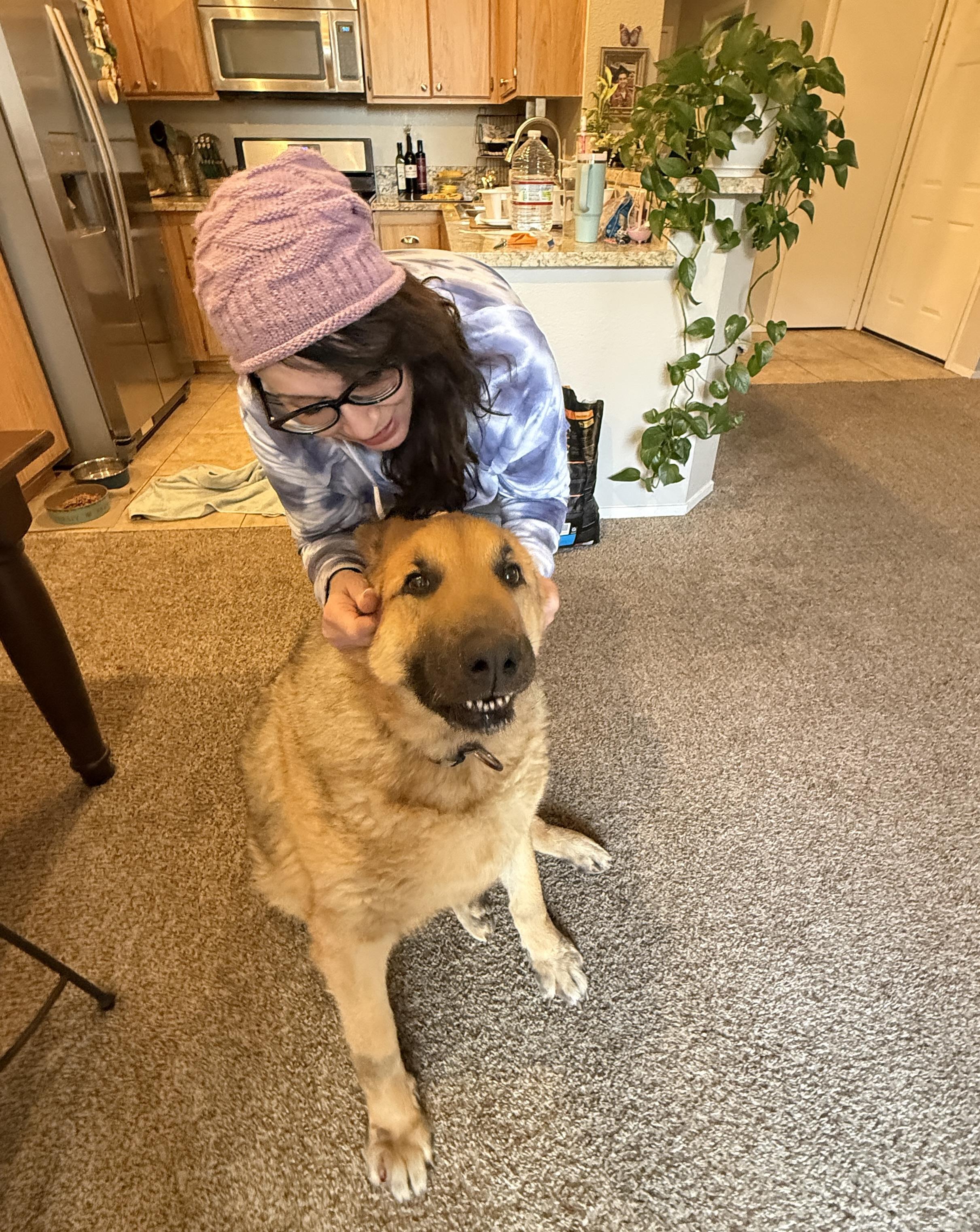 Enlarge JACKSON, a Adoptable German Shepherd Dog in Las Vegas, NV image 6/6