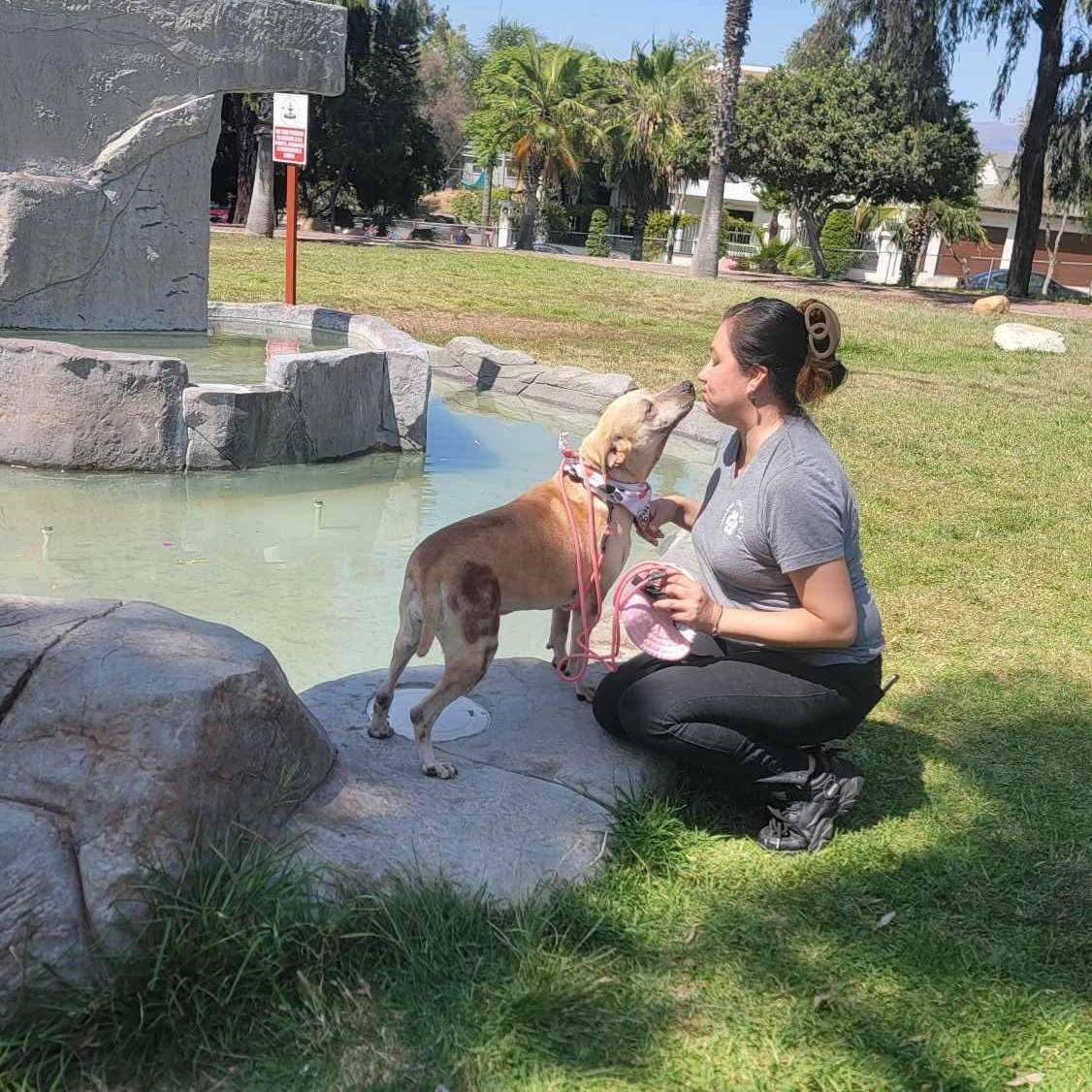 Enlarge Guera, a Adoptable Mixed Breed in Puyallup, WA image 3/6