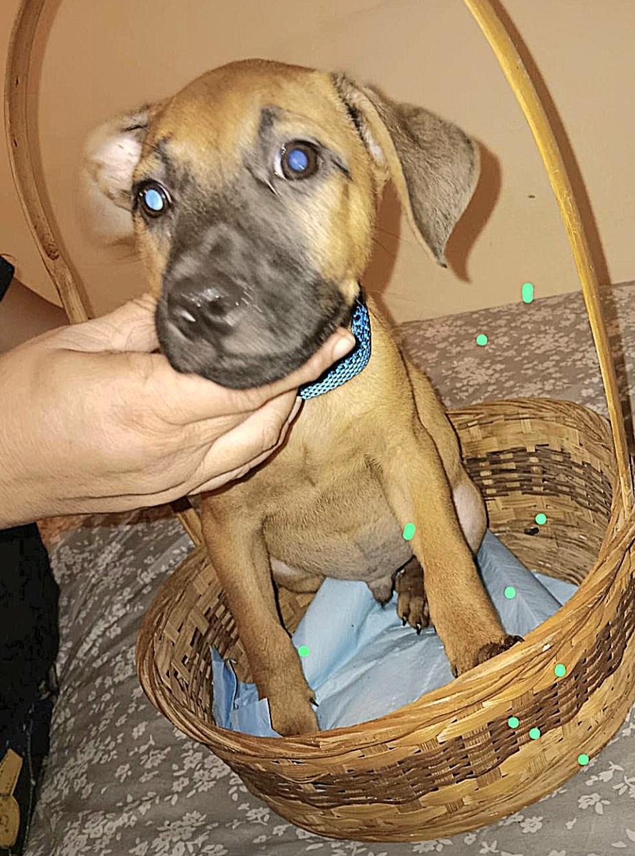 Hutch "will You Be thumbnail 2