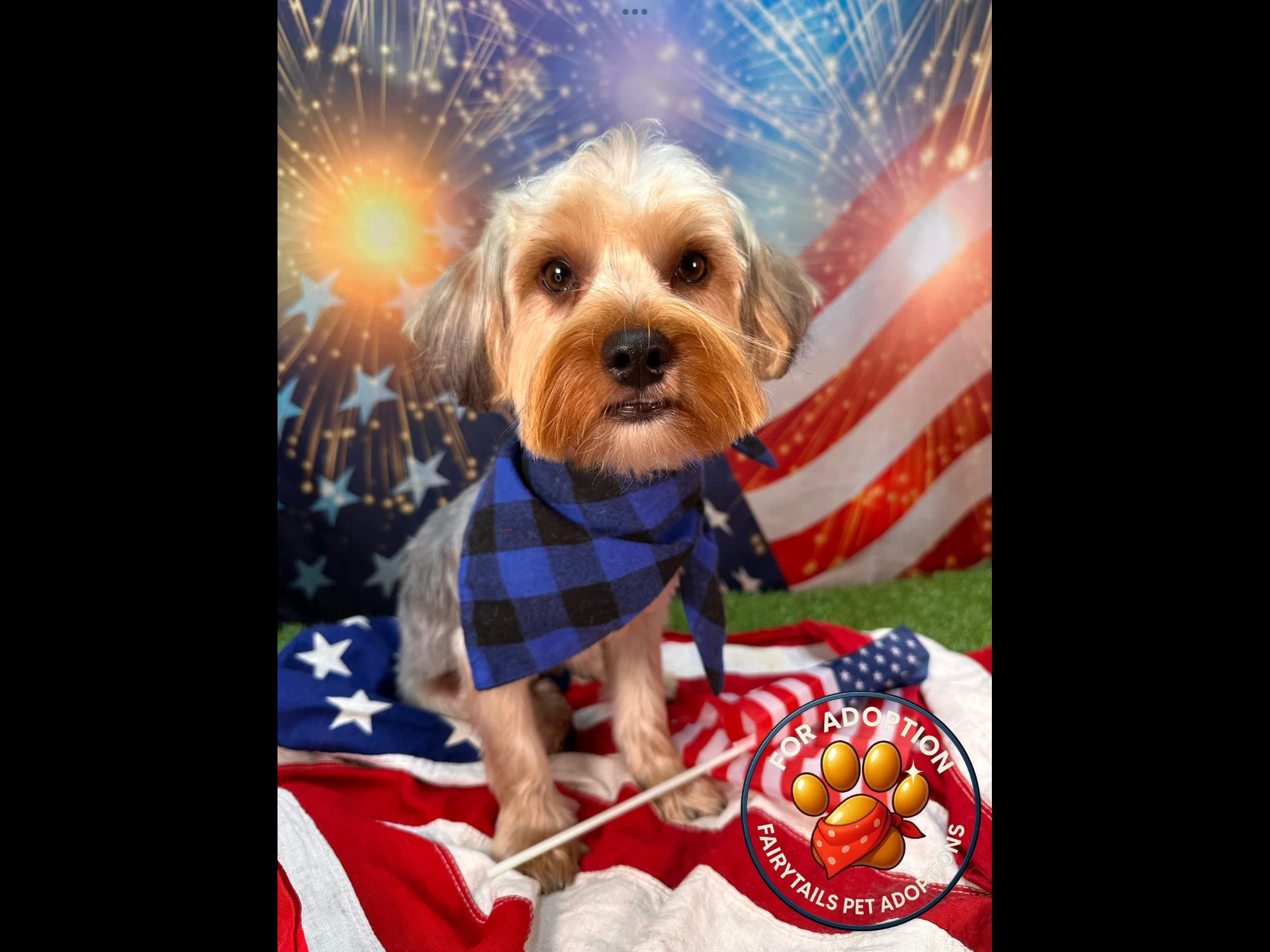 Snuffy thumbnail 2