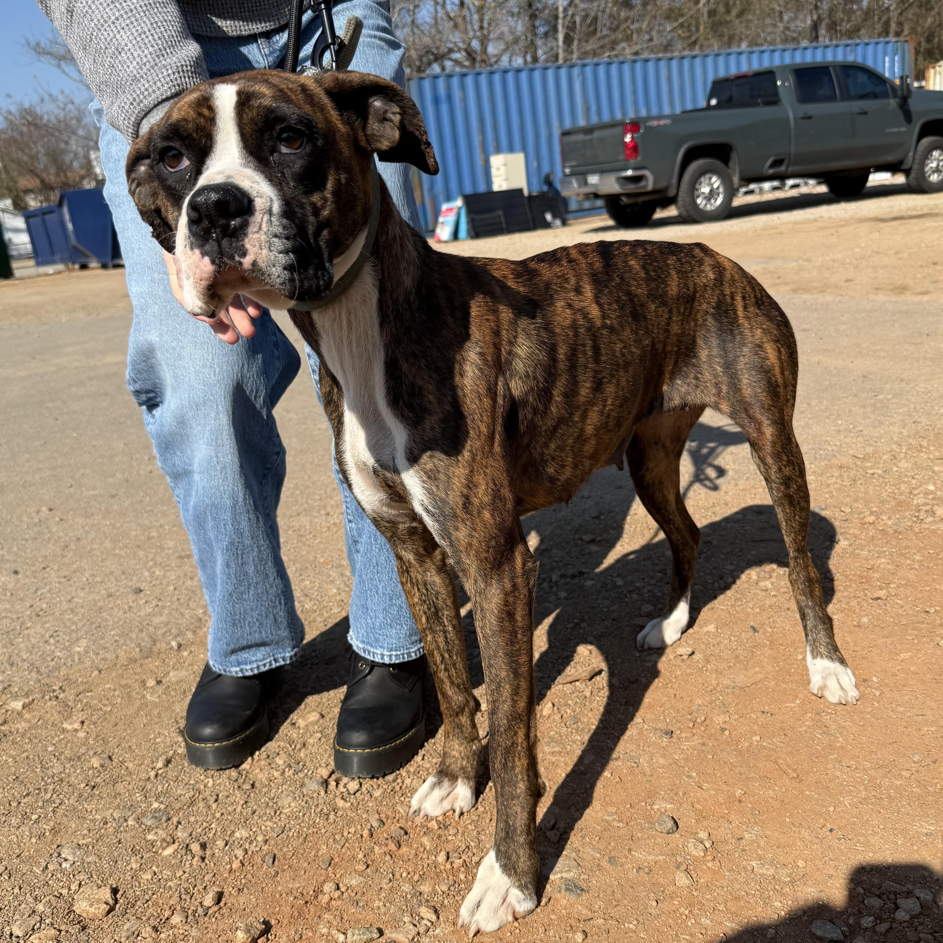 Puzzle — thumbnail 5