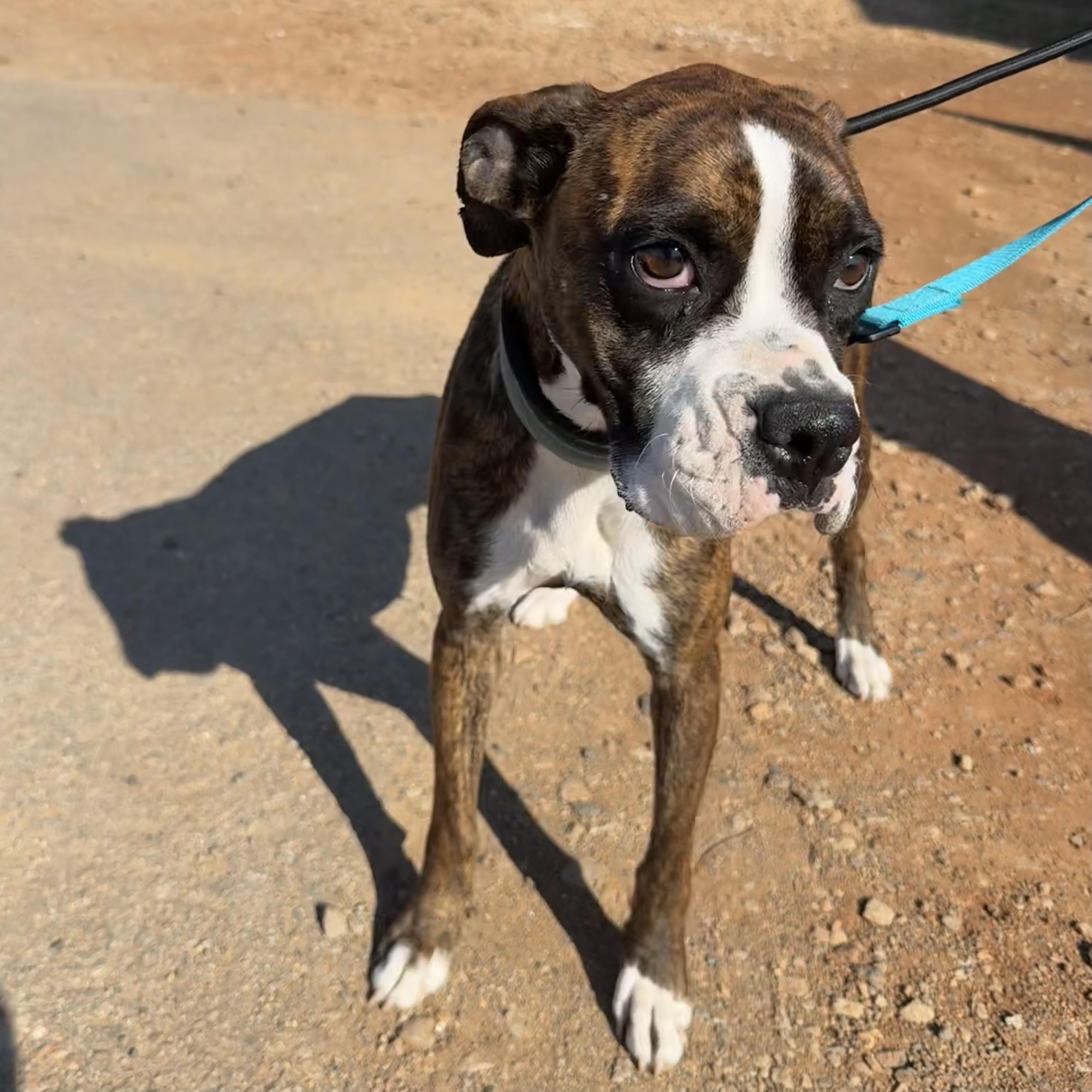 Puzzle — thumbnail 6