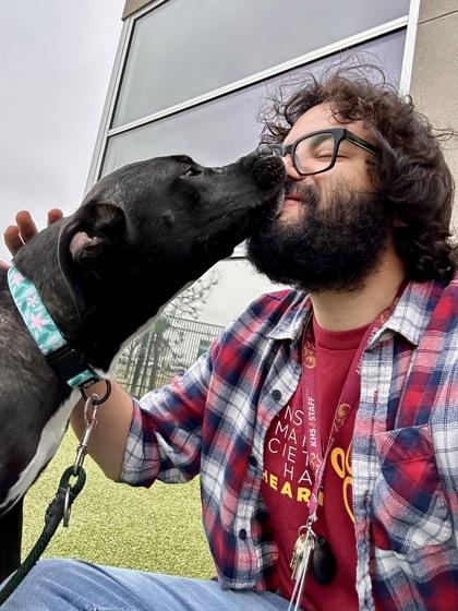 Shadow, Adoptable, Adult Female Mixed Breed & Mixed Breed.