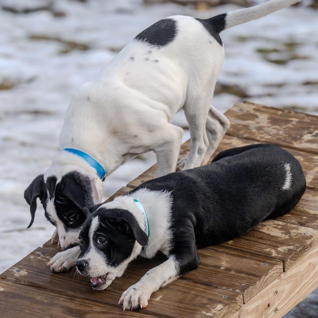 Mackenzie thumbnail 2