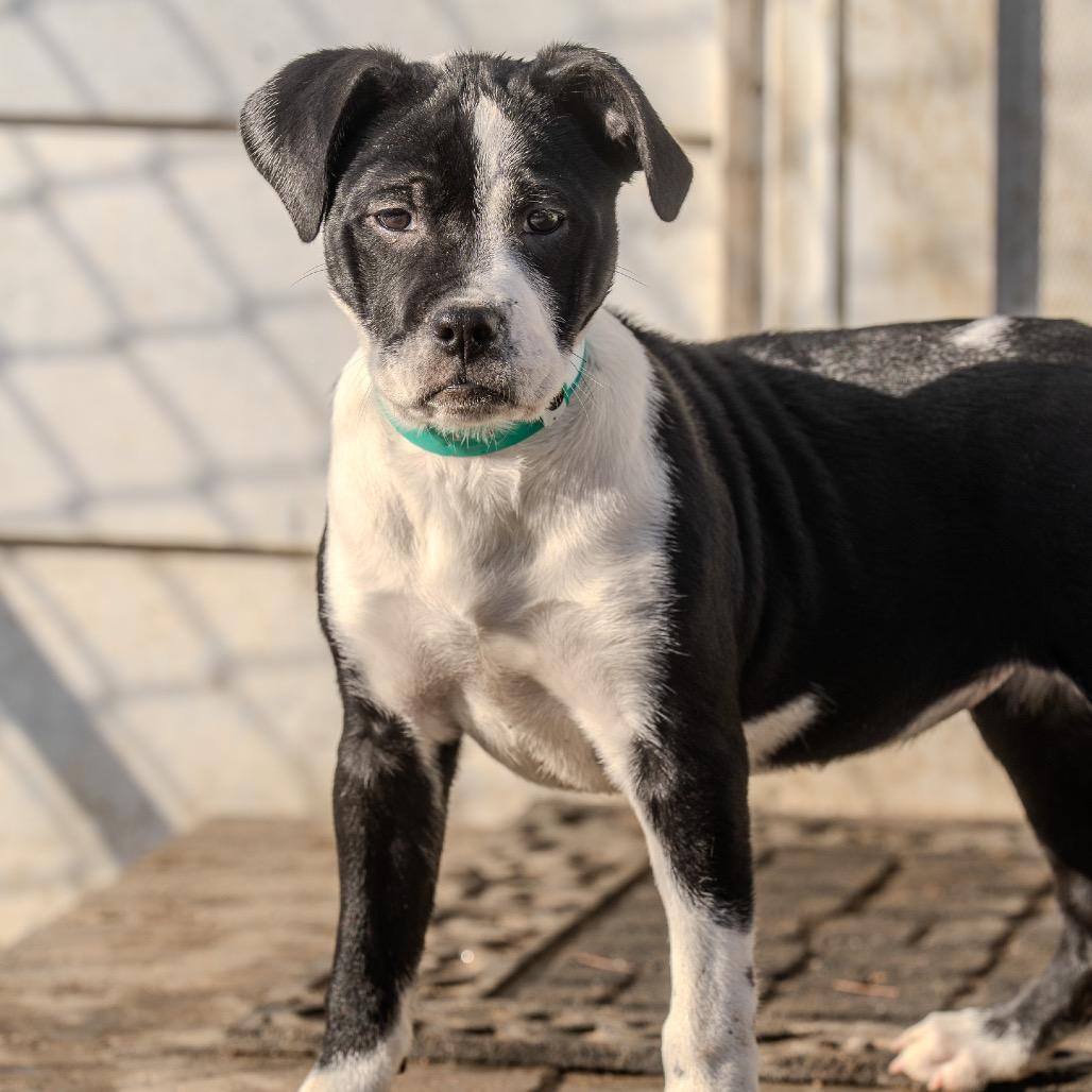 Mackenzie thumbnail 3