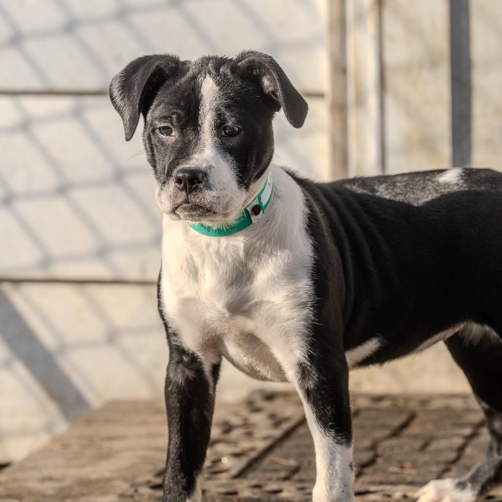 Mackenzie thumbnail 5